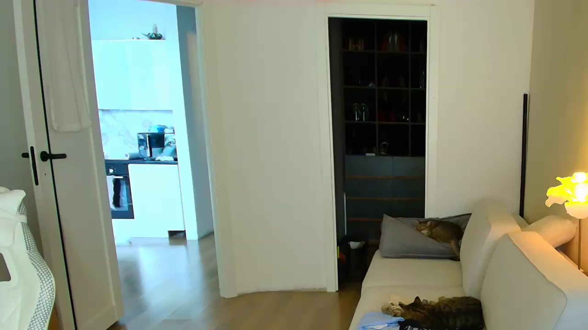 Gallery image thumbnail from GODDESS_'s myfreecams stream on, 07/26/2026, 11:18 image 11 of 20