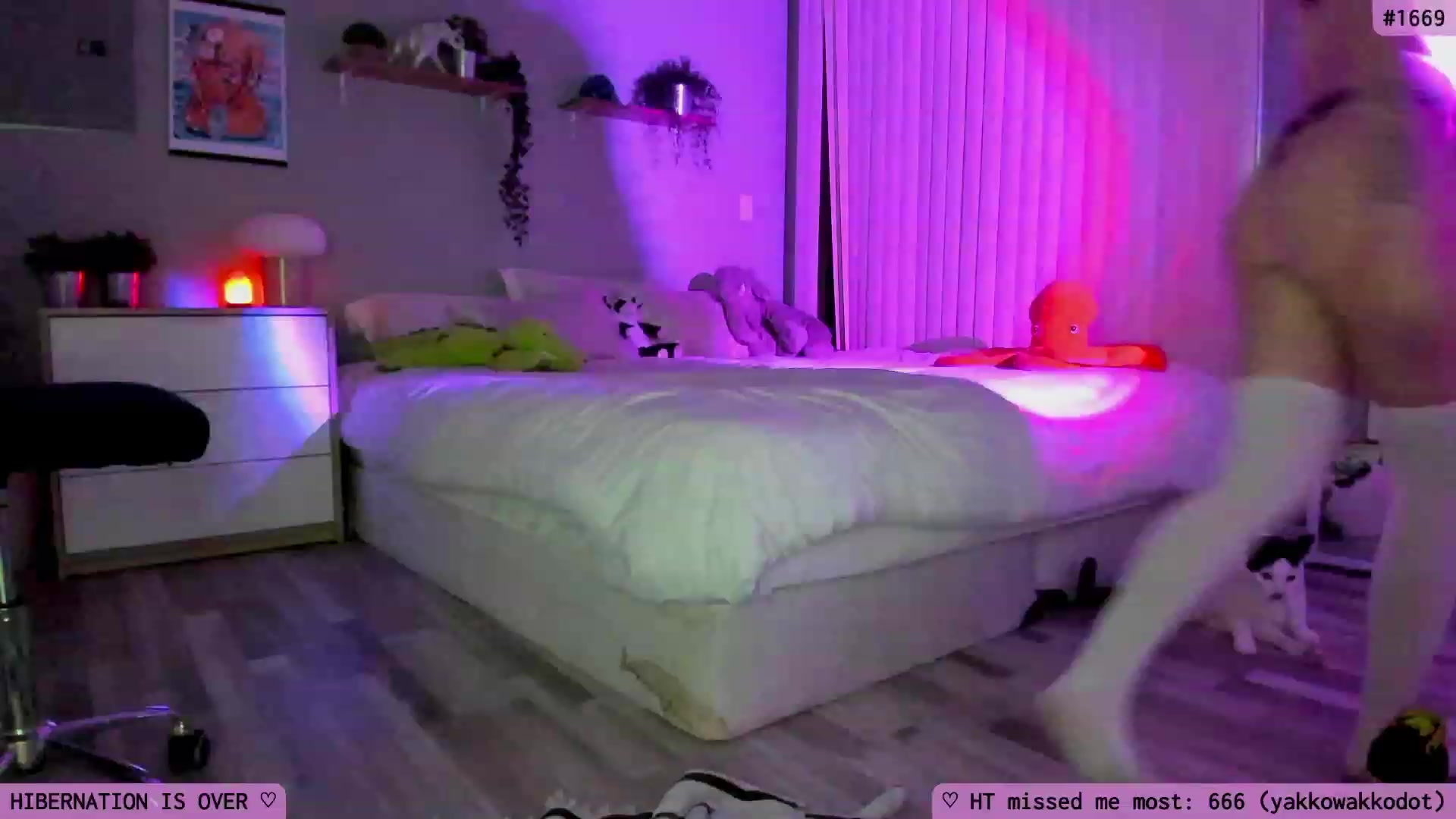 Gallery image thumbnail from Gabbyxo's myfreecams stream on, 07/02/2023, 07:24 image 5 of 20
