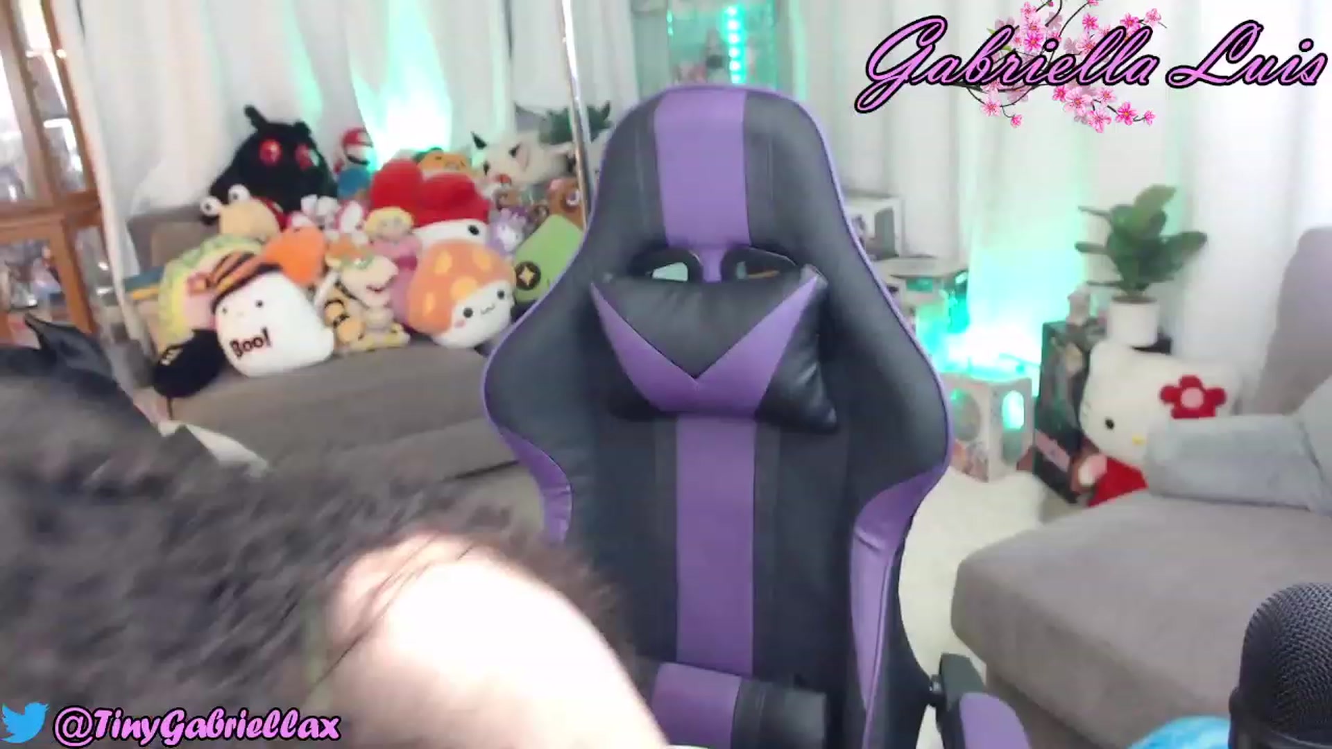 Gallery image thumbnail from GabriellaLuis's myfreecams stream on, 09/25/2023, 03:18 image 13 of 20