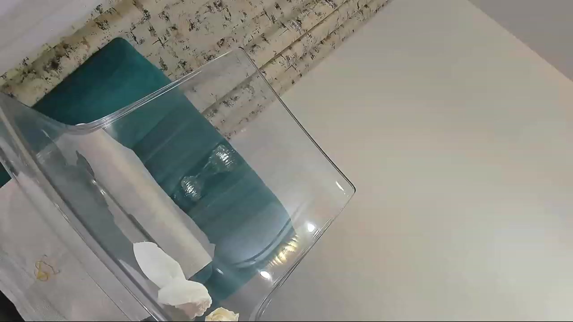 Gallery image thumbnail from Galiennezinna's myfreecams stream on, 09/30/2023, 10:53 image 5 of 20