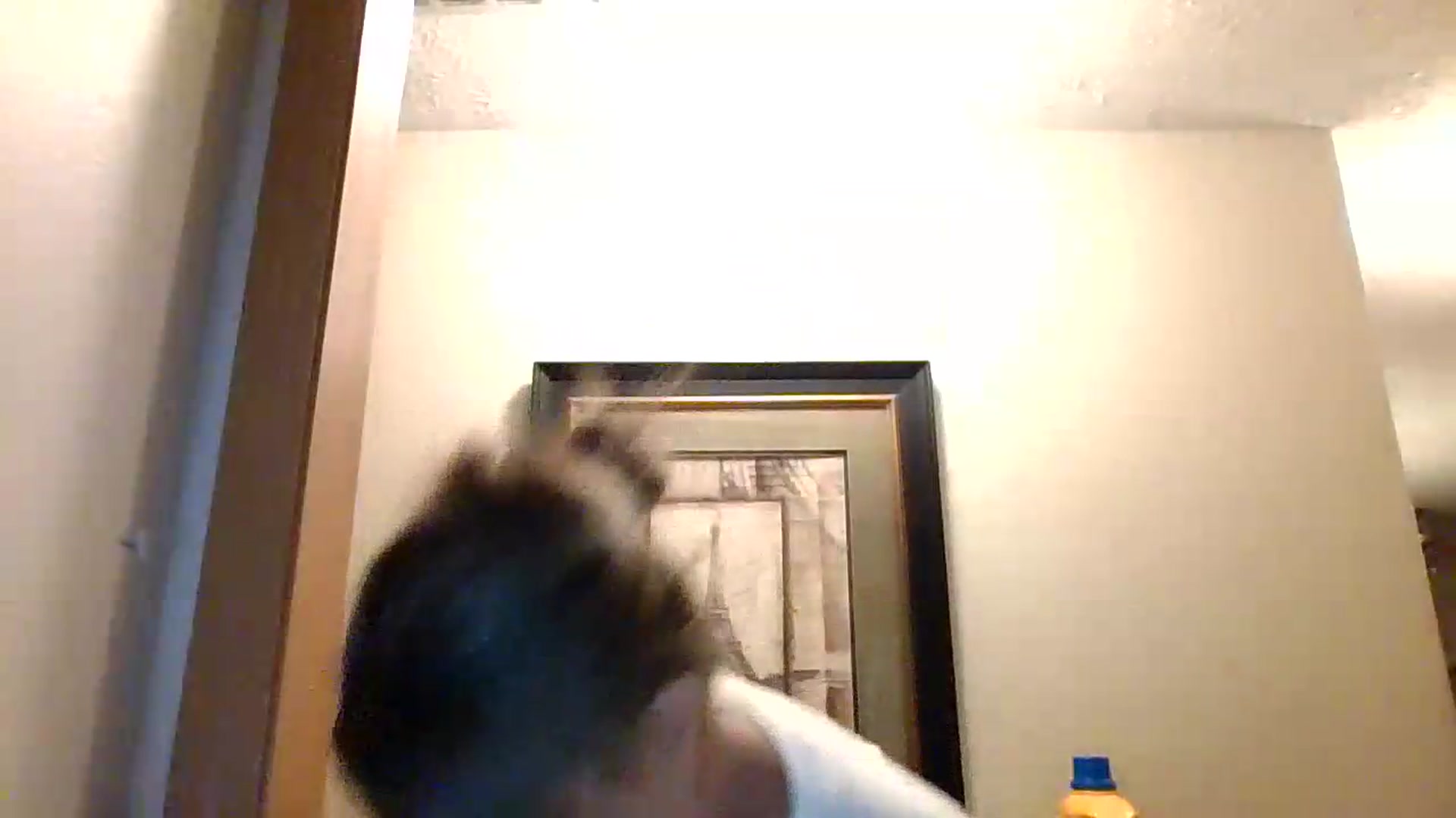 Gallery image thumbnail from Ganjaa_goddess's myfreecams stream on, 08/31/2026, 01:26 image 20 of 20
