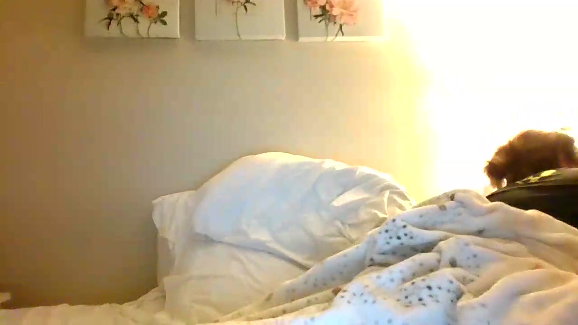 Gallery image thumbnail from Ganjaa_goddess's myfreecams stream on, 08/31/2026, 09:01 image 18 of 20