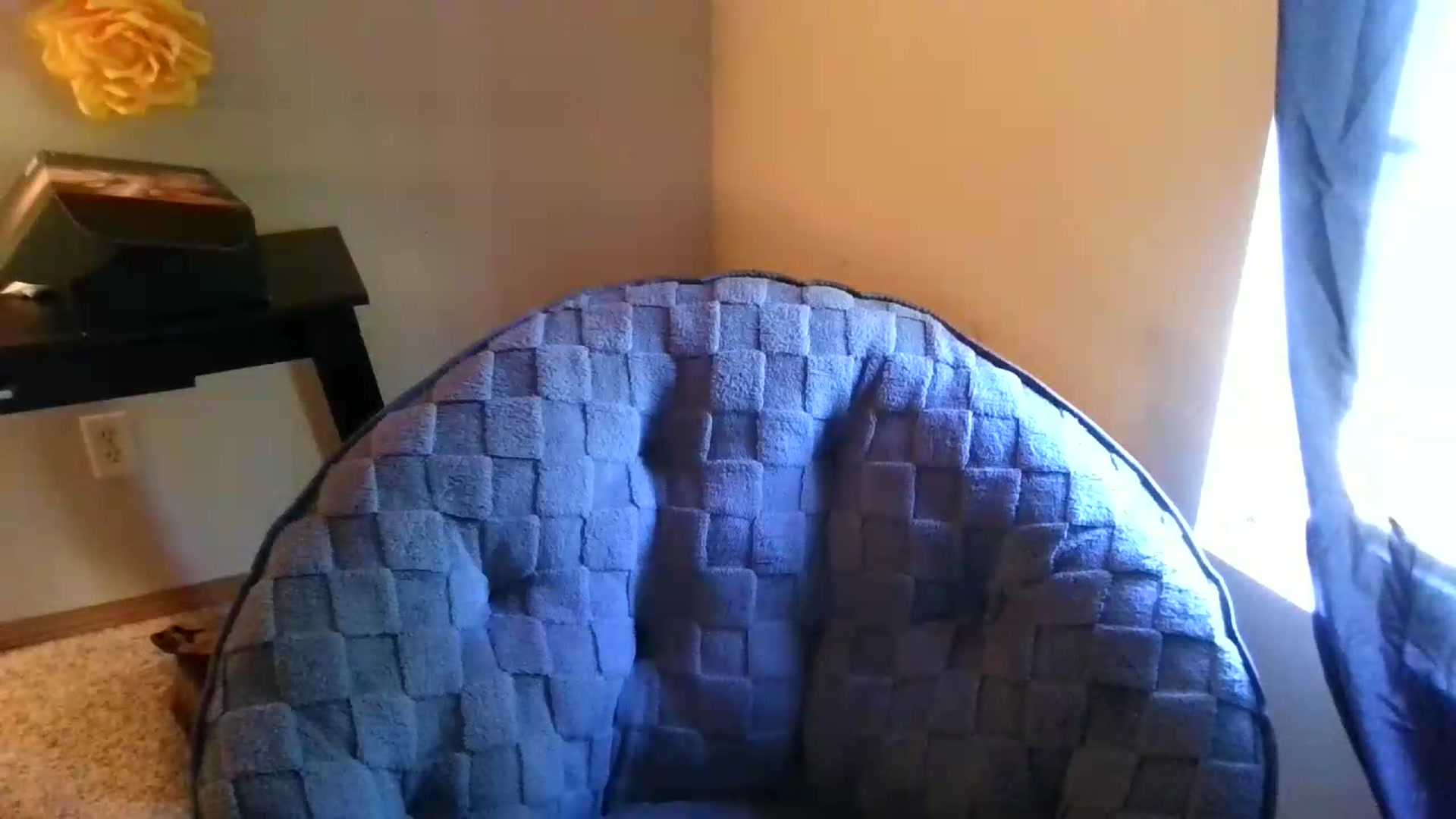 Gallery image thumbnail from Ganjaa_goddess's myfreecams stream on, 09/07/2026, 19:06 image 15 of 20