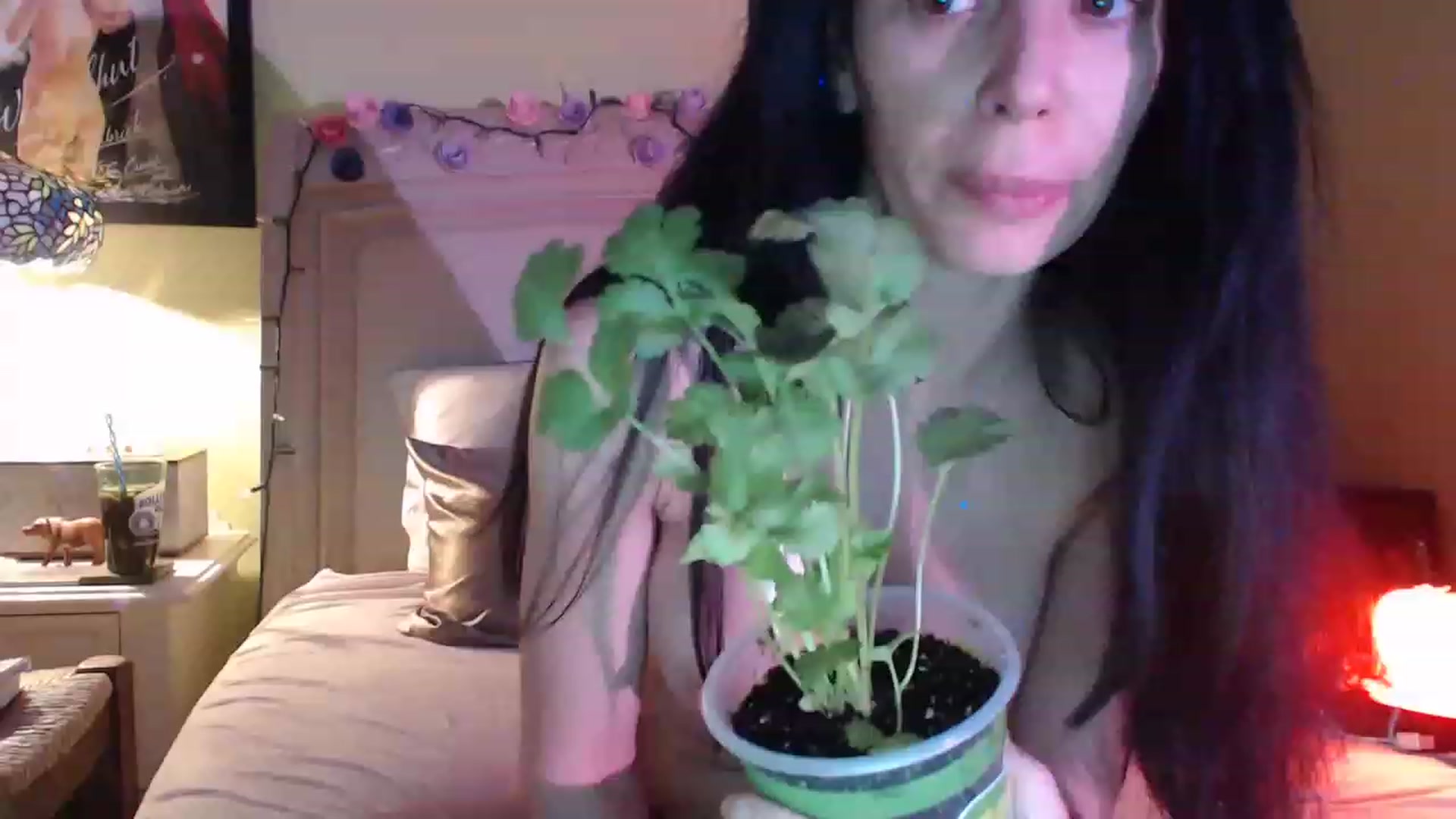 Gallery image thumbnail from GardenGirl's myfreecams stream on, 04/29/2023, 08:13 image 9 of 20