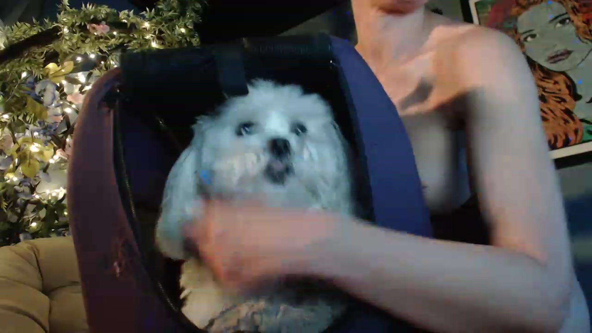 Gallery image thumbnail from GardenGirl's myfreecams stream on, 06/23/2023, 07:54 image 12 of 20