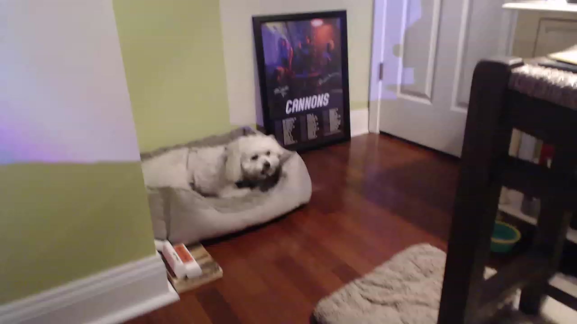 Gallery image thumbnail from GardenGirl's myfreecams stream on, 07/15/2023, 09:16 image 19 of 20