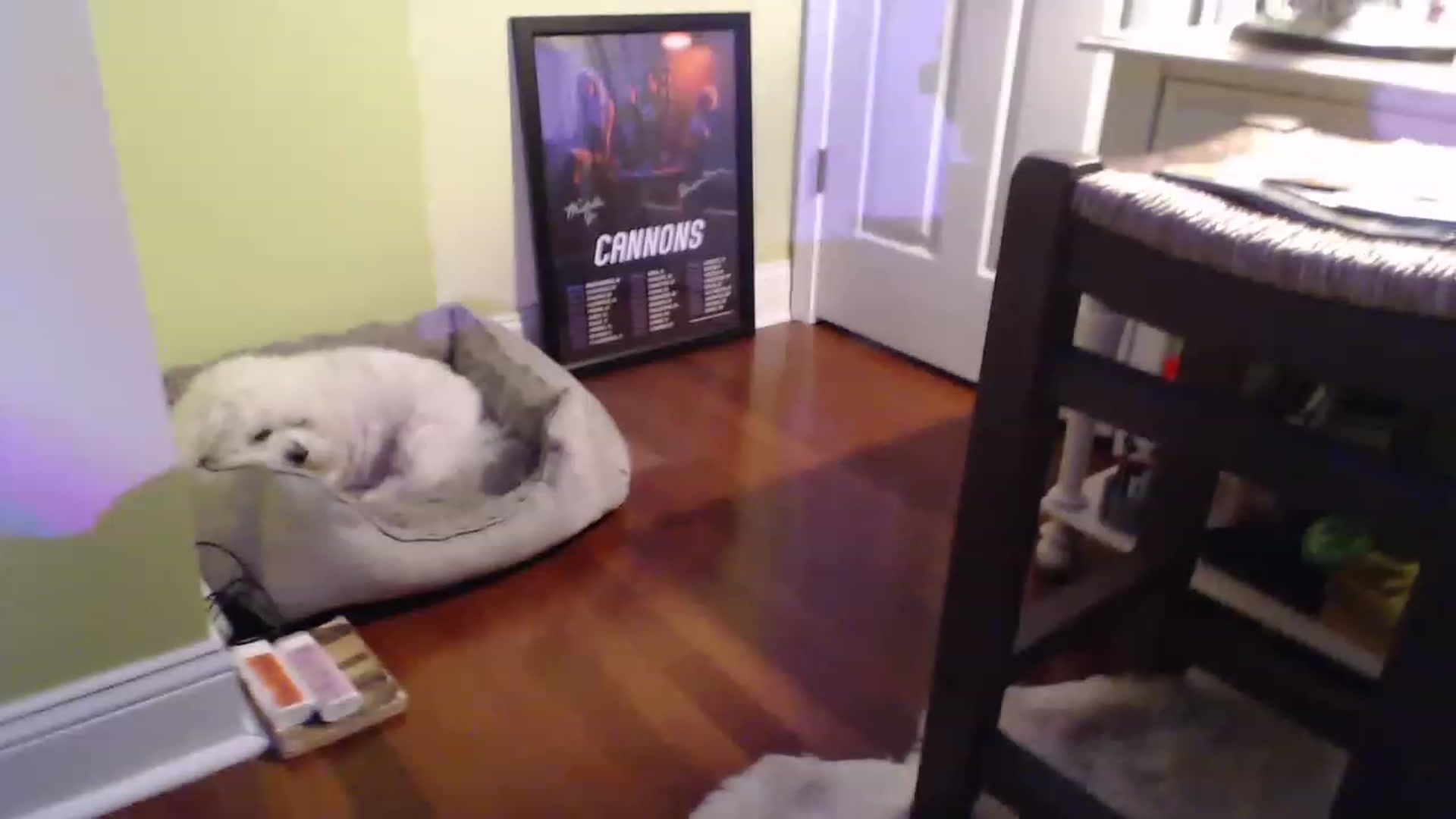 Gallery image thumbnail from GardenGirl's myfreecams stream on, 07/31/2023, 08:20 image 14 of 20