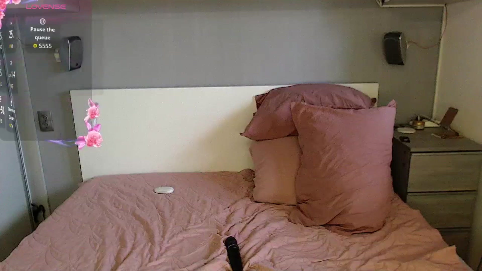 Gallery image thumbnail from GemLuva's myfreecams stream on, 09/11/2025, 10:31 image 20 of 20