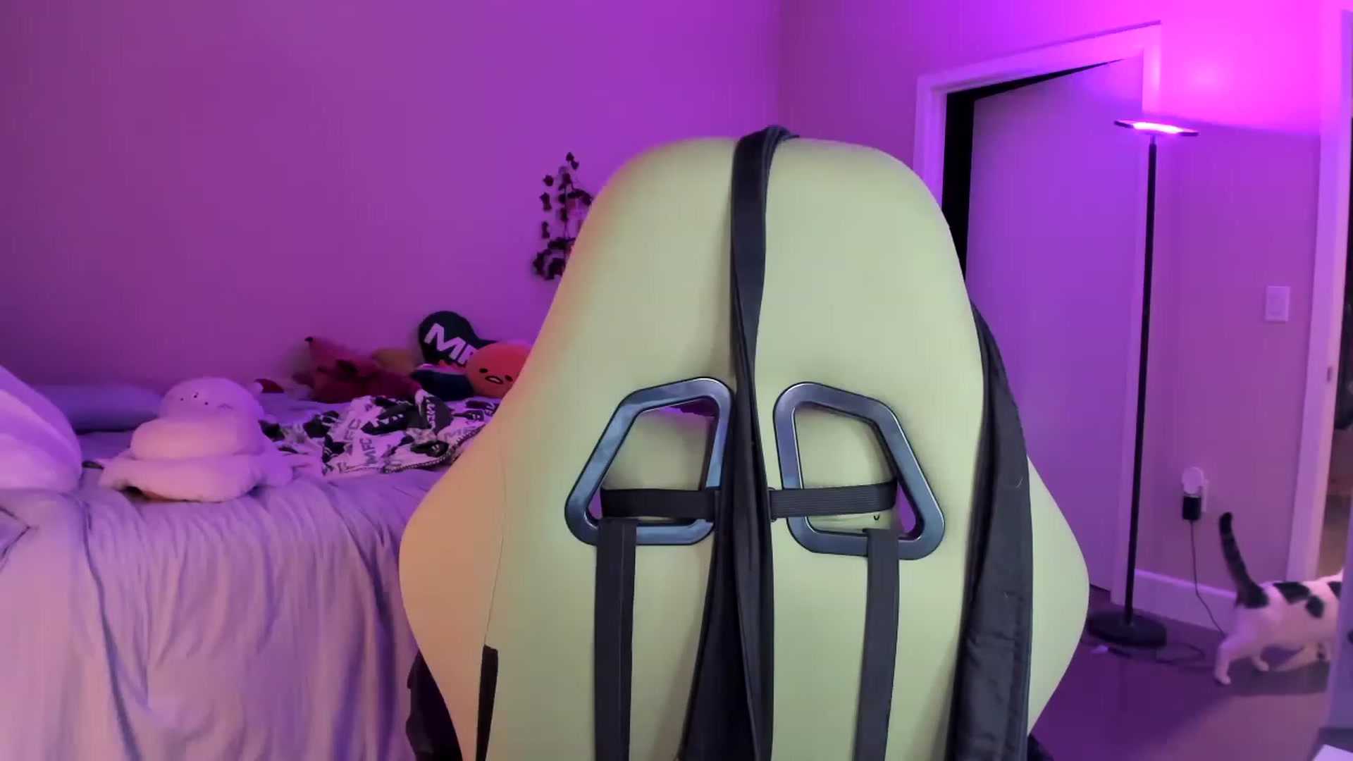 Gallery image thumbnail from GeminiJade69's myfreecams stream on, 06/29/2023, 06:07 image 20 of 20