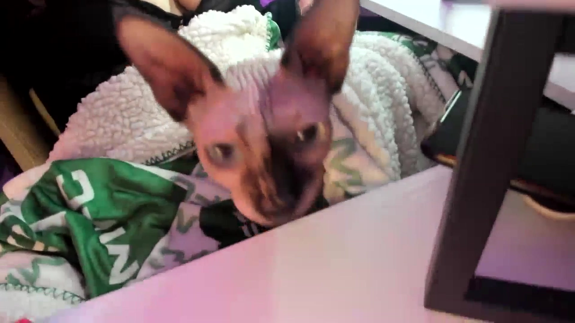 Gallery image thumbnail from GeminiJade69's myfreecams stream on, 07/15/2023, 05:25 image 4 of 20