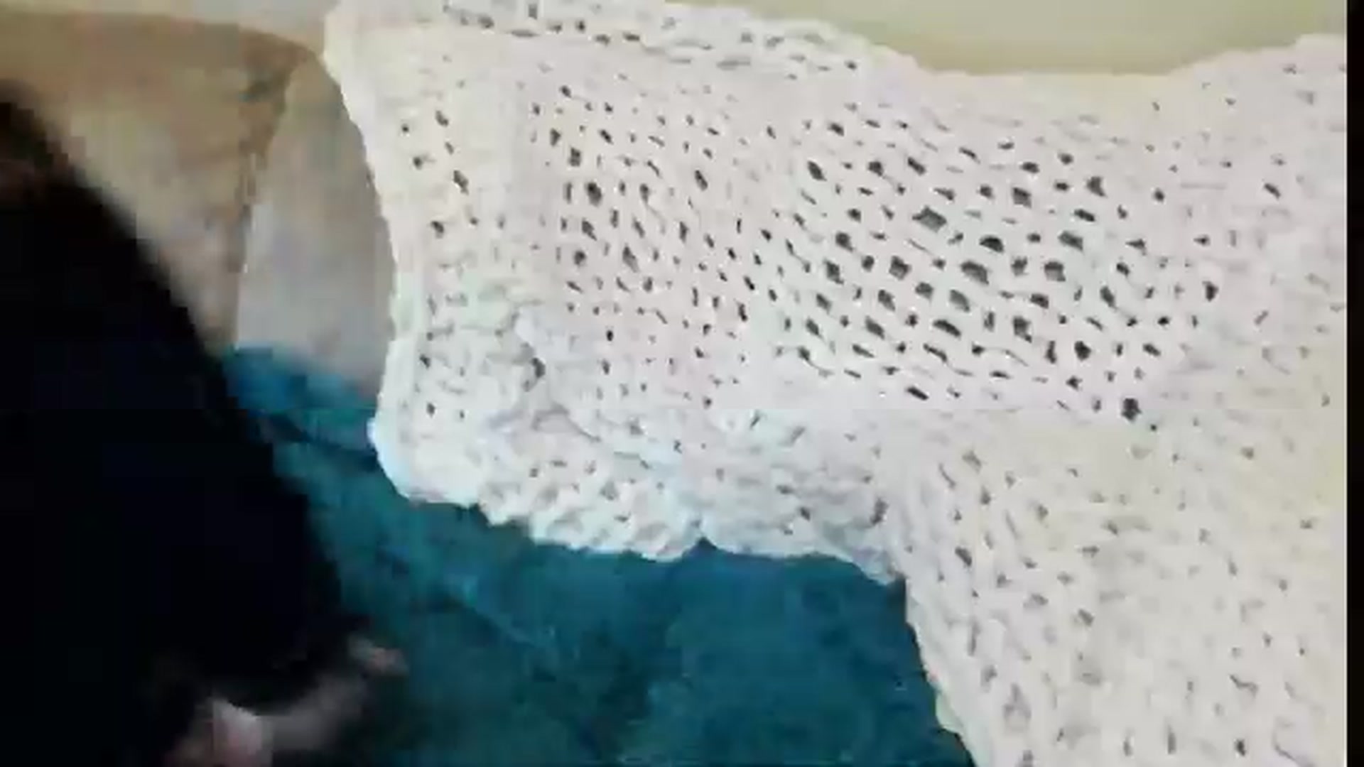 Gallery image thumbnail from GemmaPurr's myfreecams stream on, 08/23/2025, 15:03 image 19 of 20