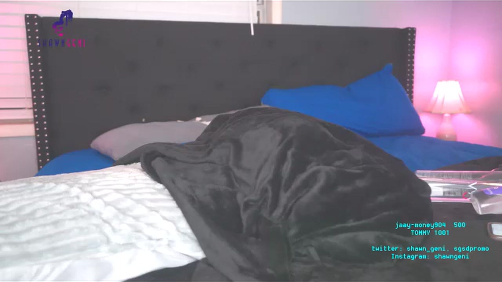 Gallery image thumbnail from GeniBae's myfreecams stream on, 11/15/2022, 23:46 image 16 of 20