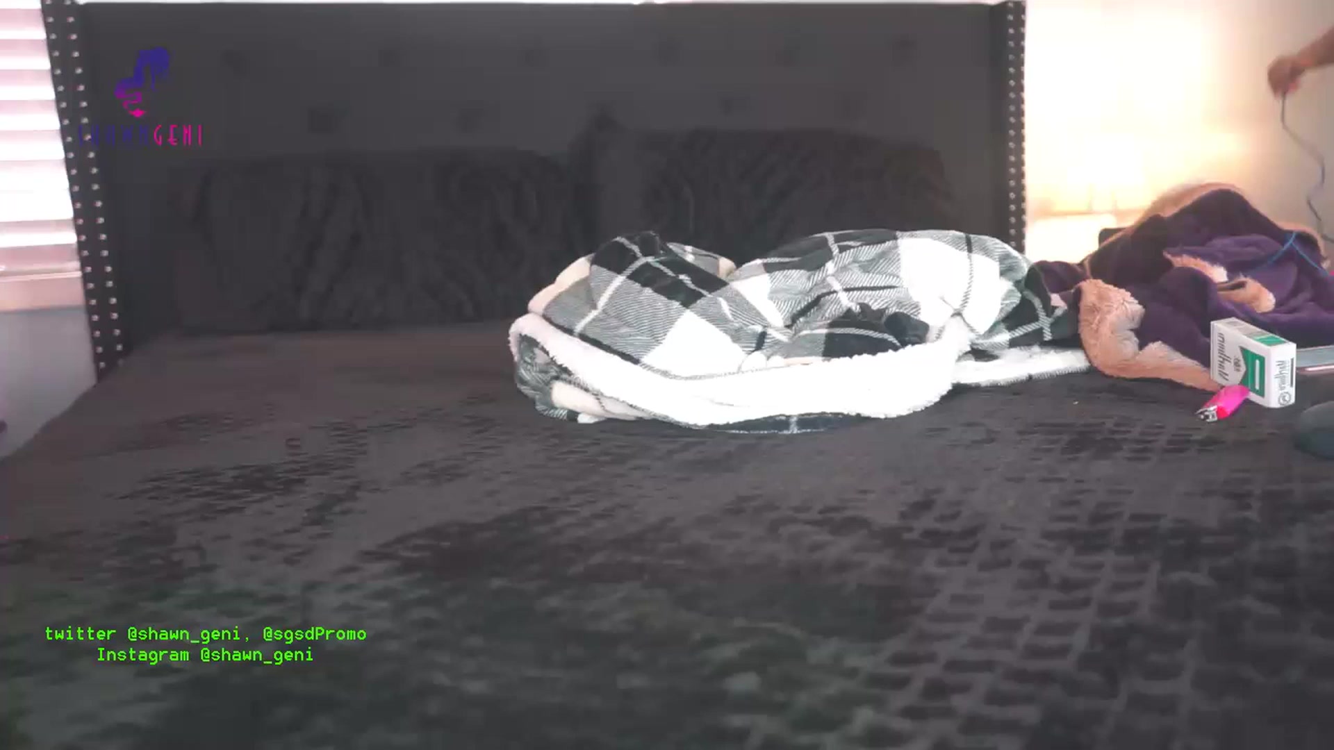 Gallery image thumbnail from GeniBae's myfreecams stream on, 12/20/2022, 19:12 image 5 of 20