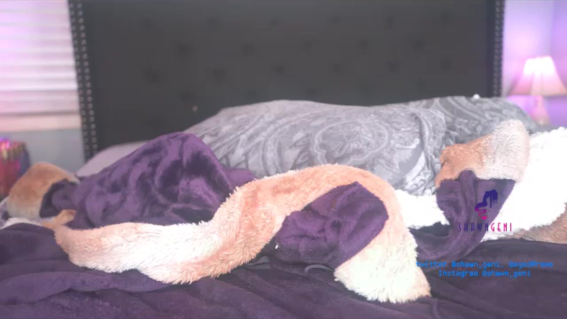 Gallery image thumbnail from GeniBae's myfreecams stream on, 12/24/2022, 14:26 image 4 of 20