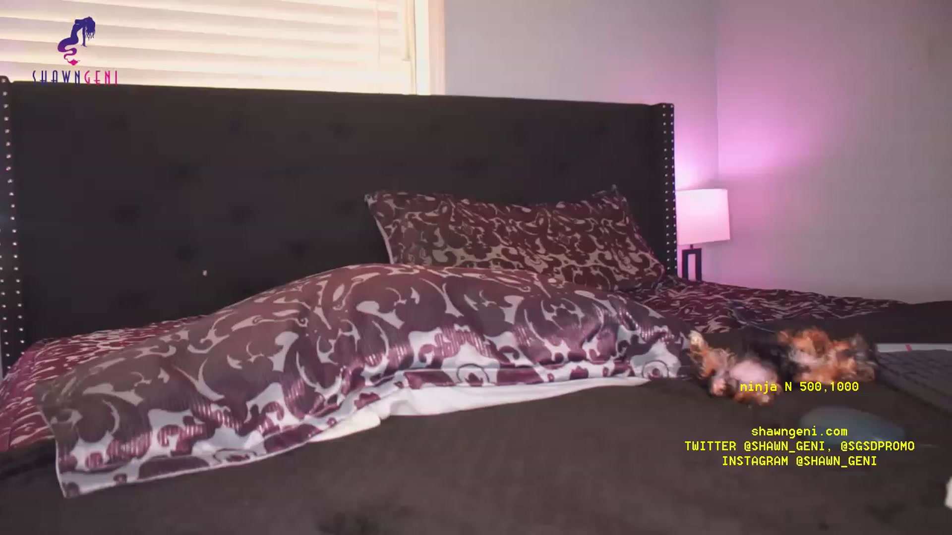 Gallery image thumbnail from GeniBae's myfreecams stream on, 06/21/2023, 19:22 image 12 of 20