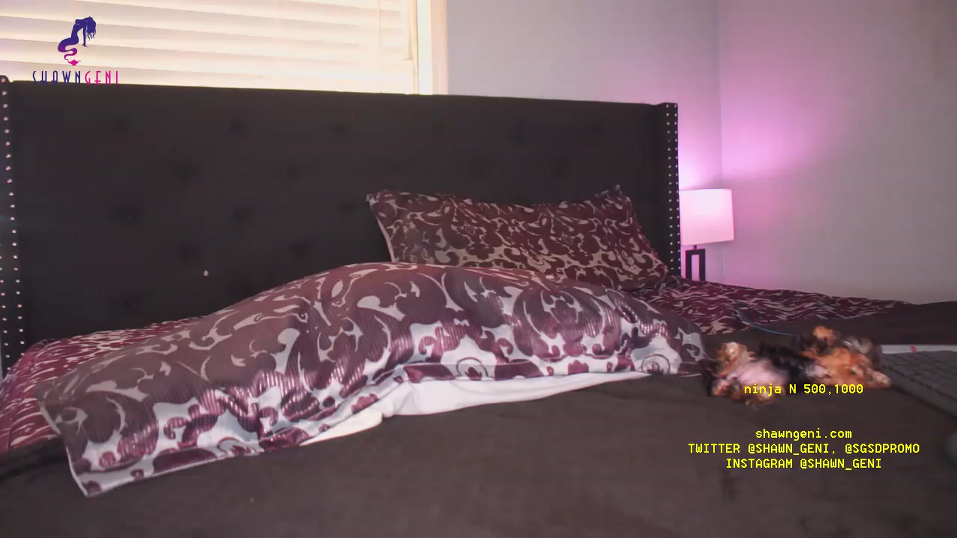 Gallery image thumbnail from GeniBae's myfreecams stream on, 06/21/2023, 19:22 image 14 of 20
