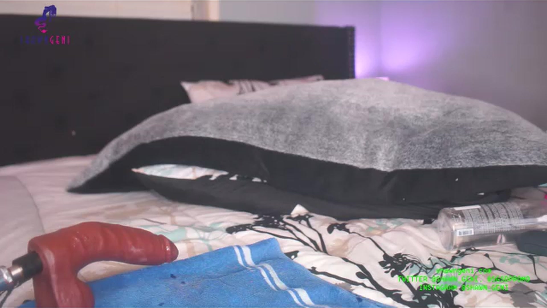 Gallery image thumbnail from GeniBae's myfreecams stream on, 07/30/2023, 02:53 image 13 of 20