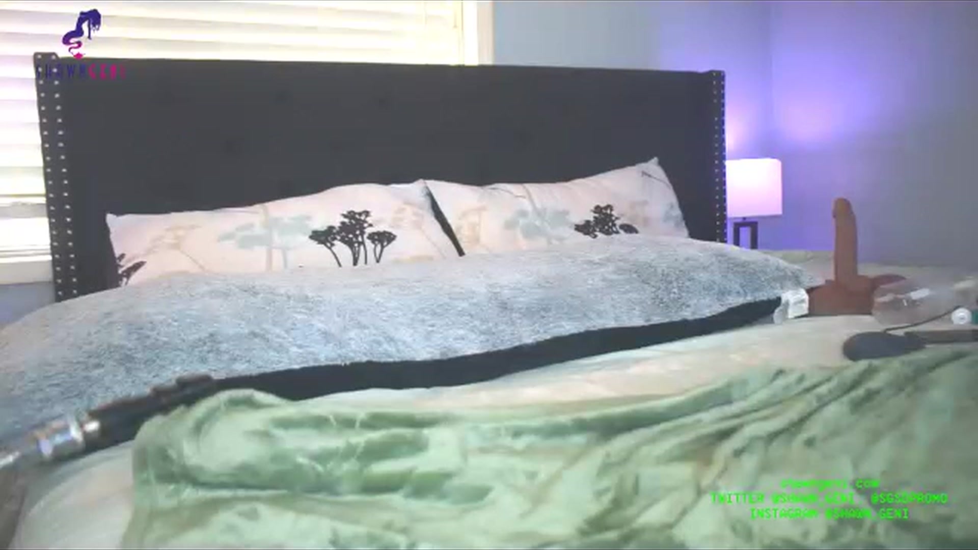 Gallery image thumbnail from GeniBae's myfreecams stream on, 07/31/2023, 20:27 image 9 of 20