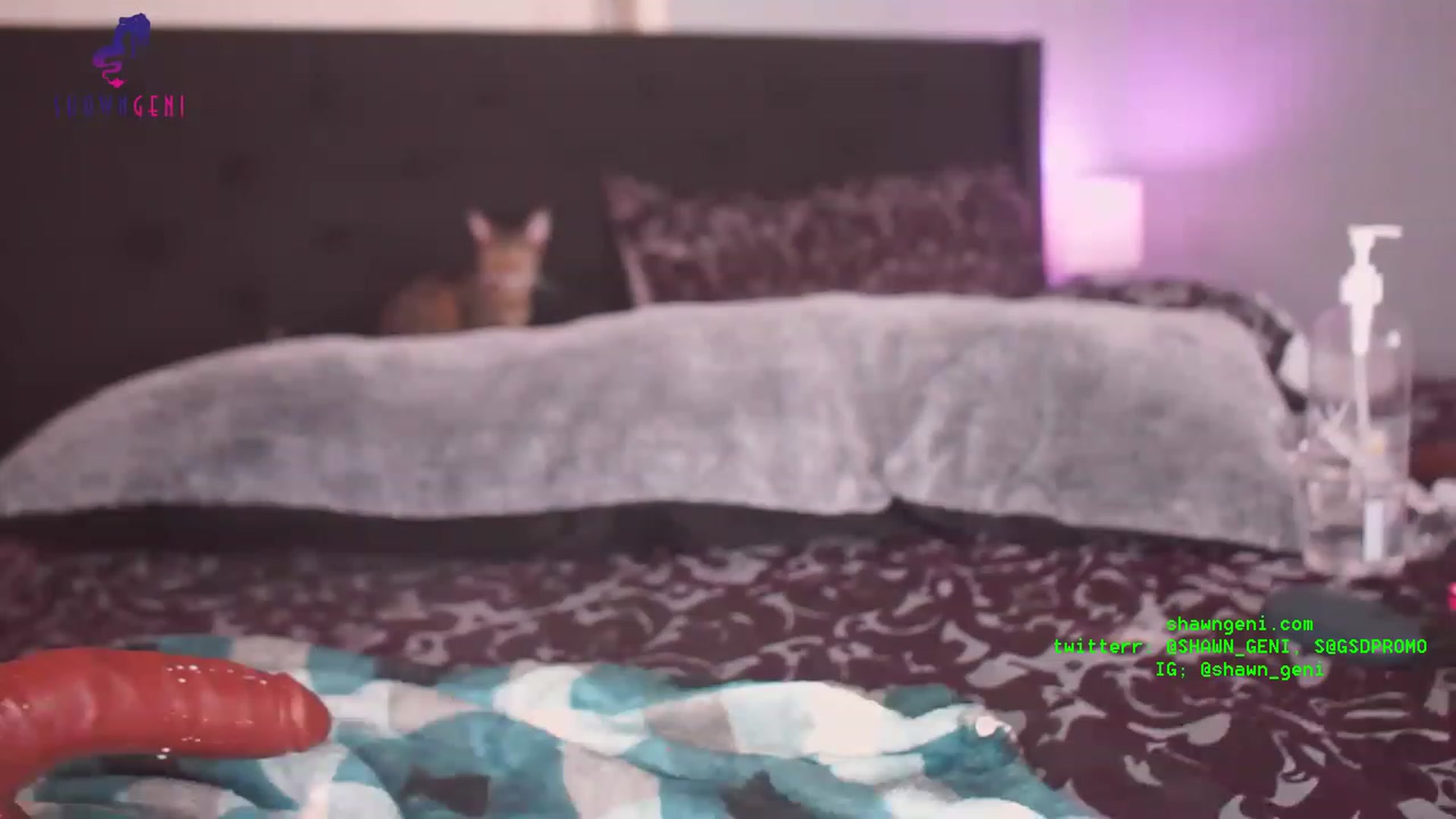 Gallery image thumbnail from GeniBae's myfreecams stream on, 08/10/2023, 03:37 image 20 of 20