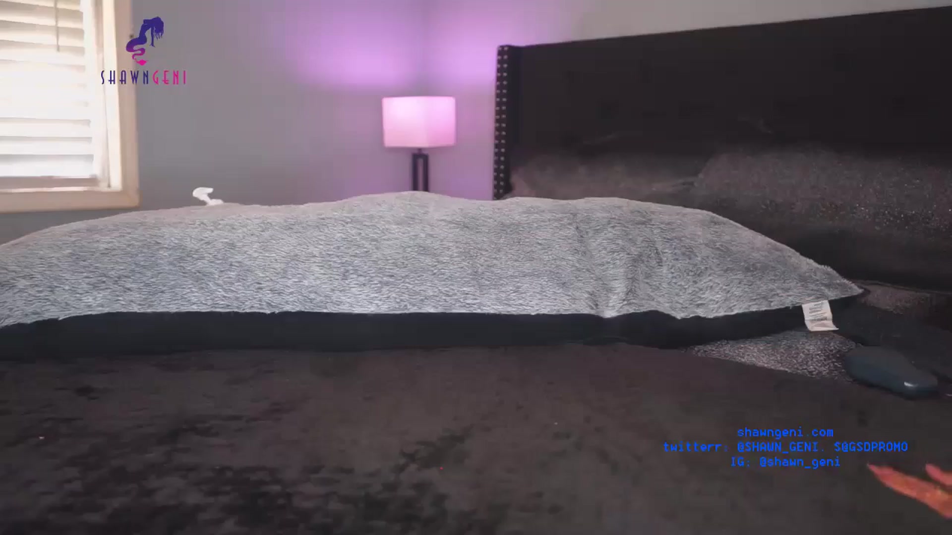Gallery image thumbnail from GeniBae's myfreecams stream on, 09/16/2023, 15:01 image 8 of 20