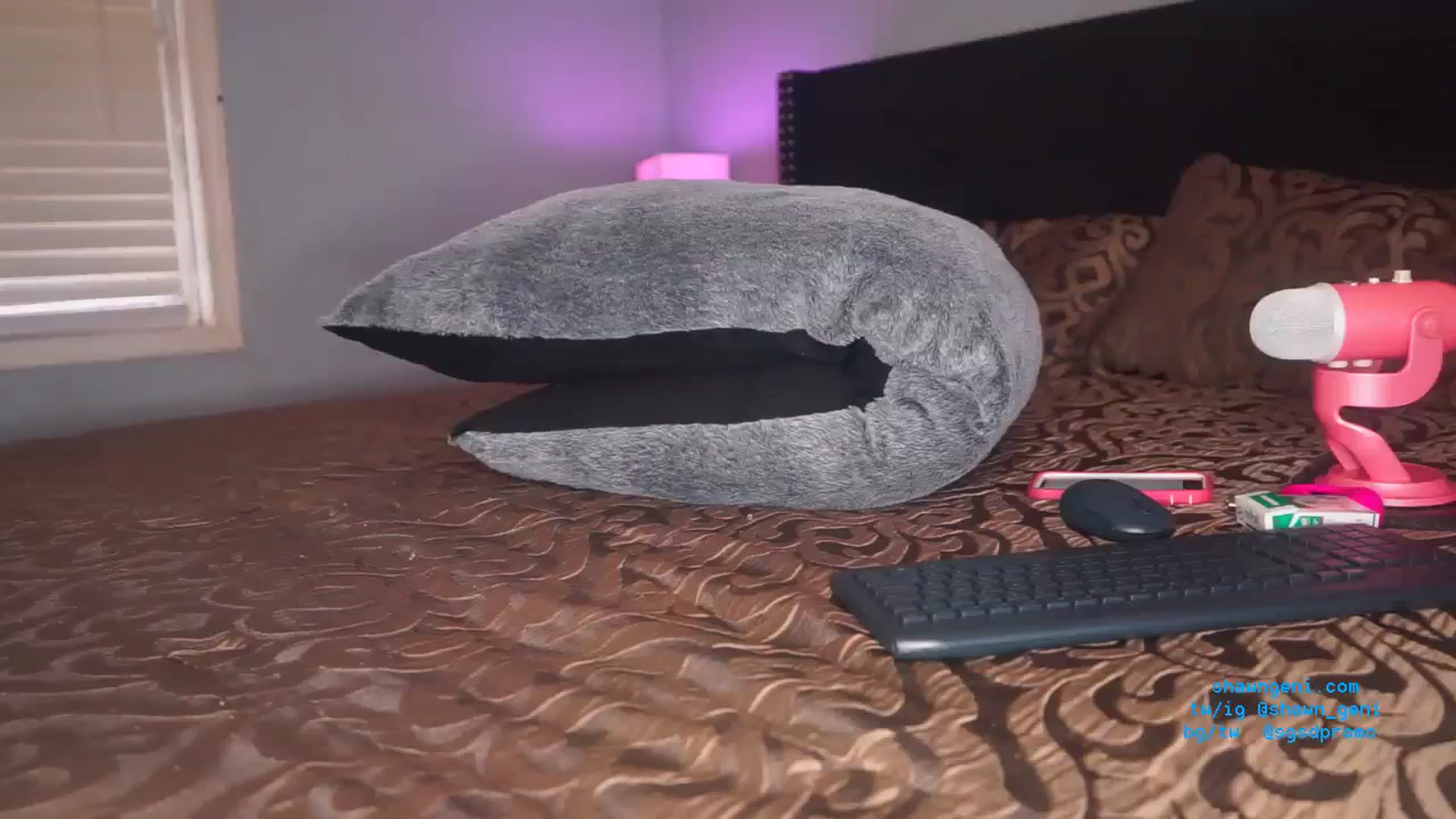 Gallery image thumbnail from GeniBae's myfreecams stream on, 01/25/2024, 17:45 image 1 of 20