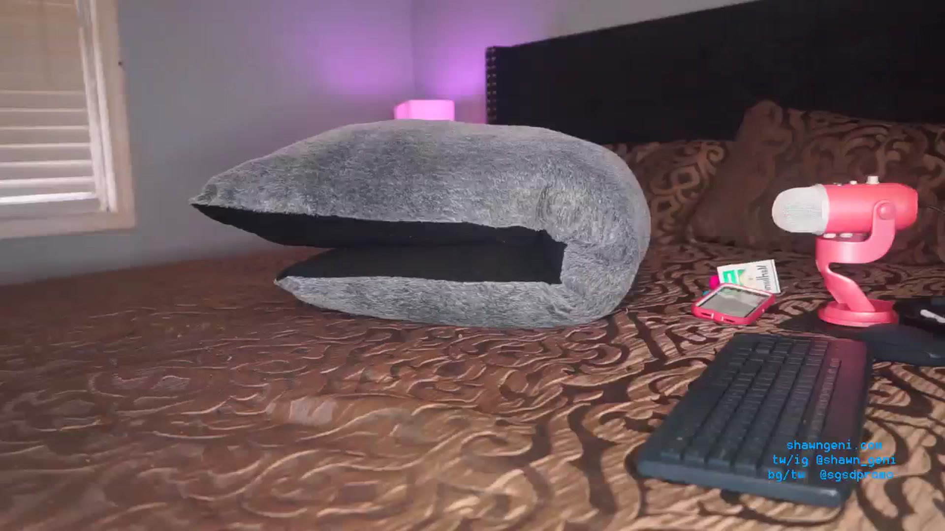 Gallery image thumbnail from GeniBae's myfreecams stream on, 01/25/2024, 17:45 image 8 of 20