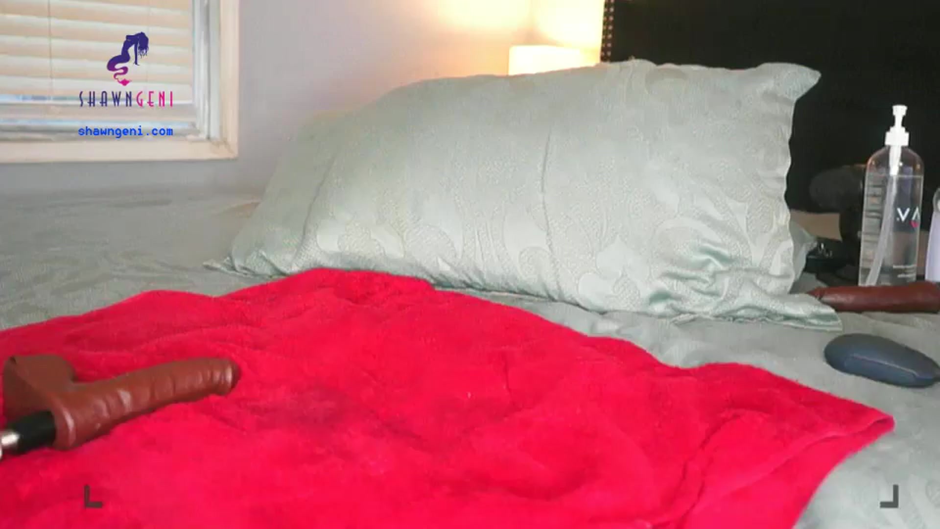Gallery image thumbnail from GeniBae's myfreecams stream on, 06/05/2024, 12:44 image 14 of 20