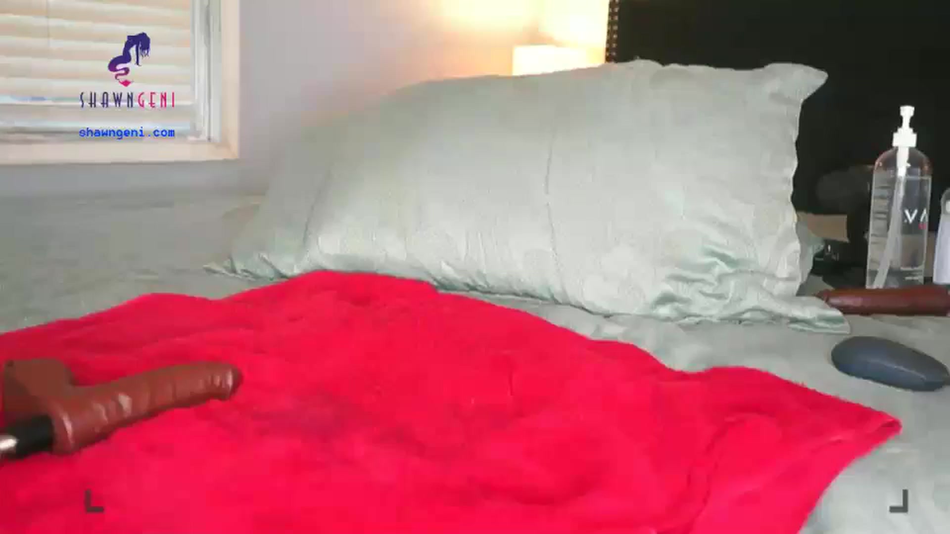 Gallery image thumbnail from GeniBae's myfreecams stream on, 06/05/2024, 12:44 image 13 of 20