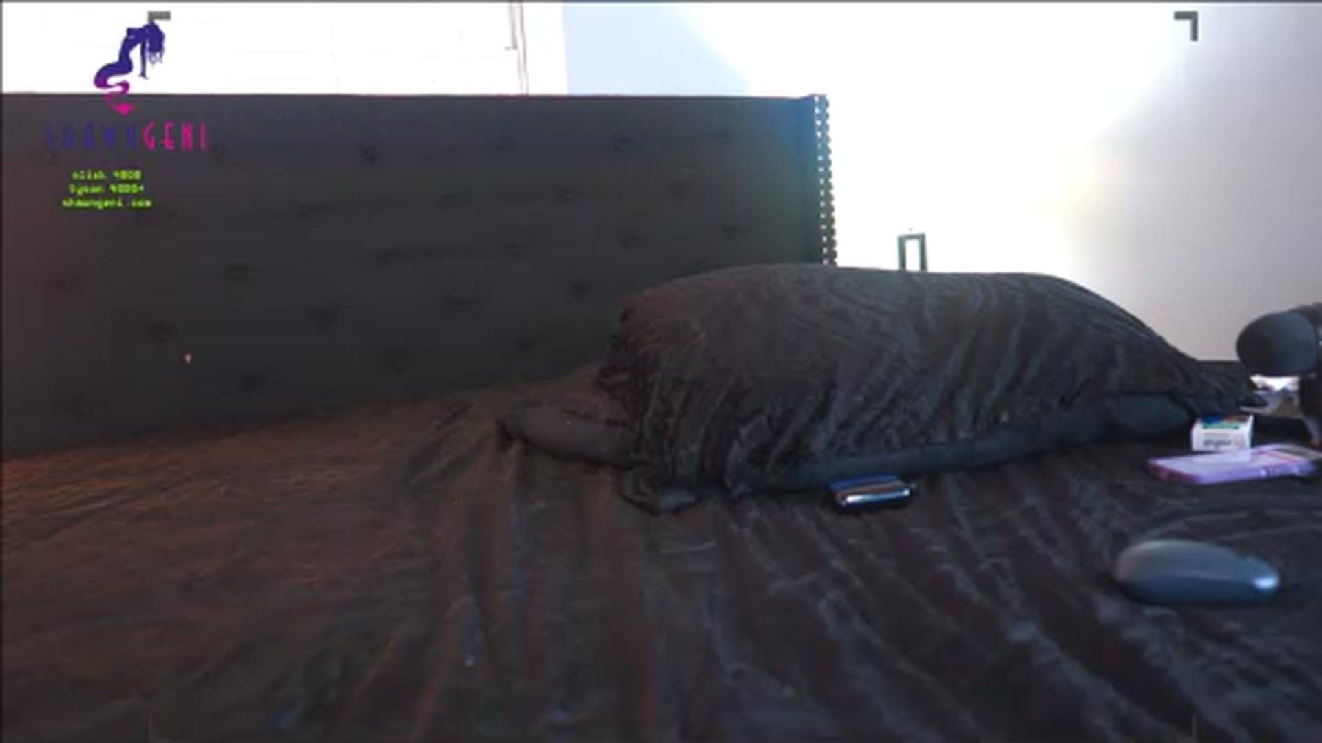 Gallery image thumbnail from GeniBae's myfreecams stream on, 09/27/2024, 14:45 image 20 of 20