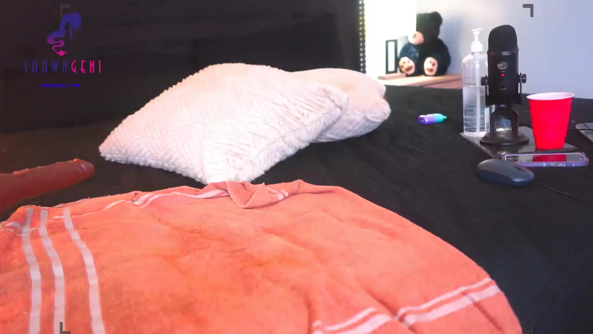 Gallery image thumbnail from GeniBae's myfreecams stream on, 11/04/2024, 06:19 image 3 of 20