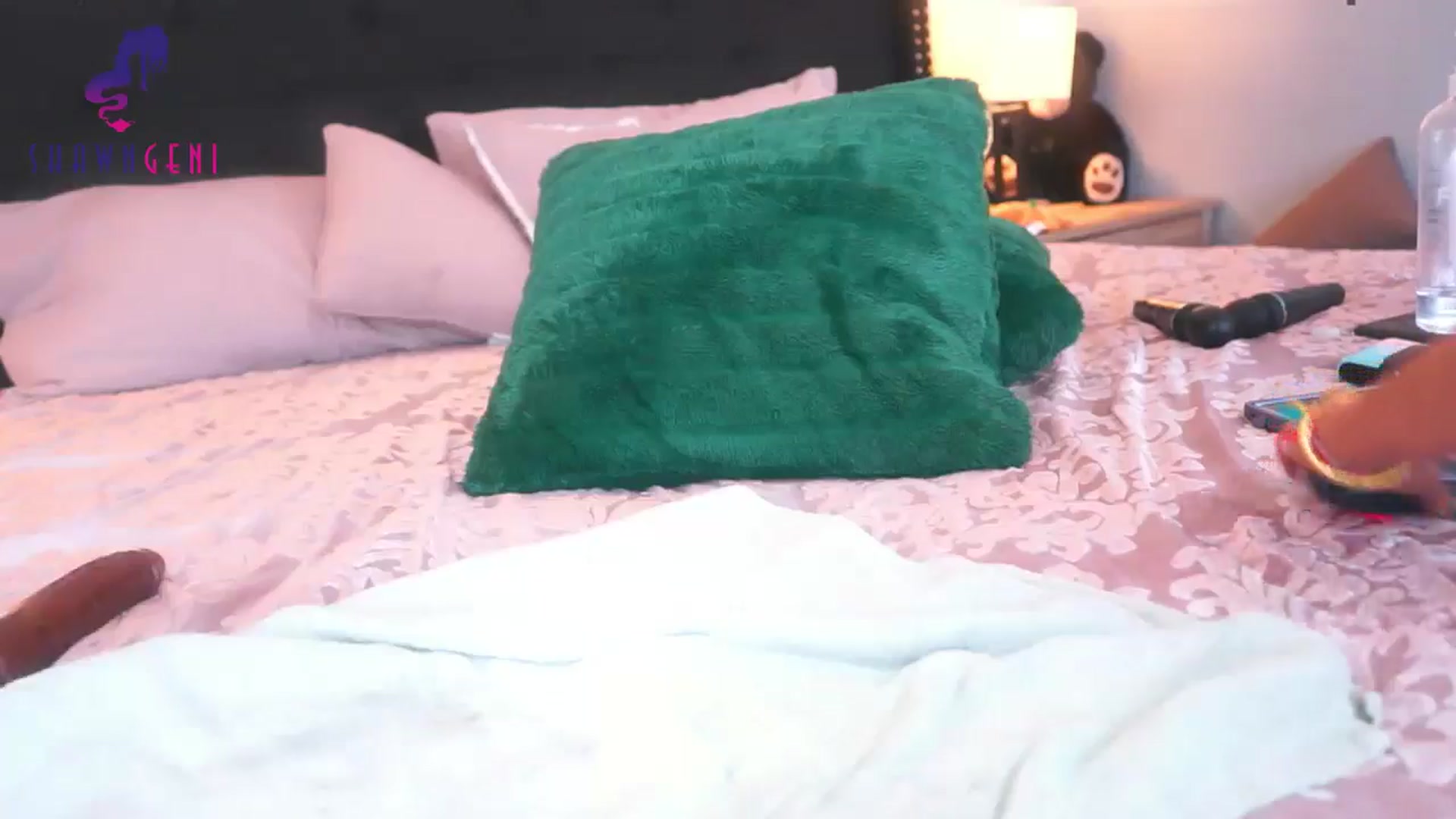 Gallery image thumbnail from GeniBae's myfreecams stream on, 12/15/2024, 10:53 image 5 of 20