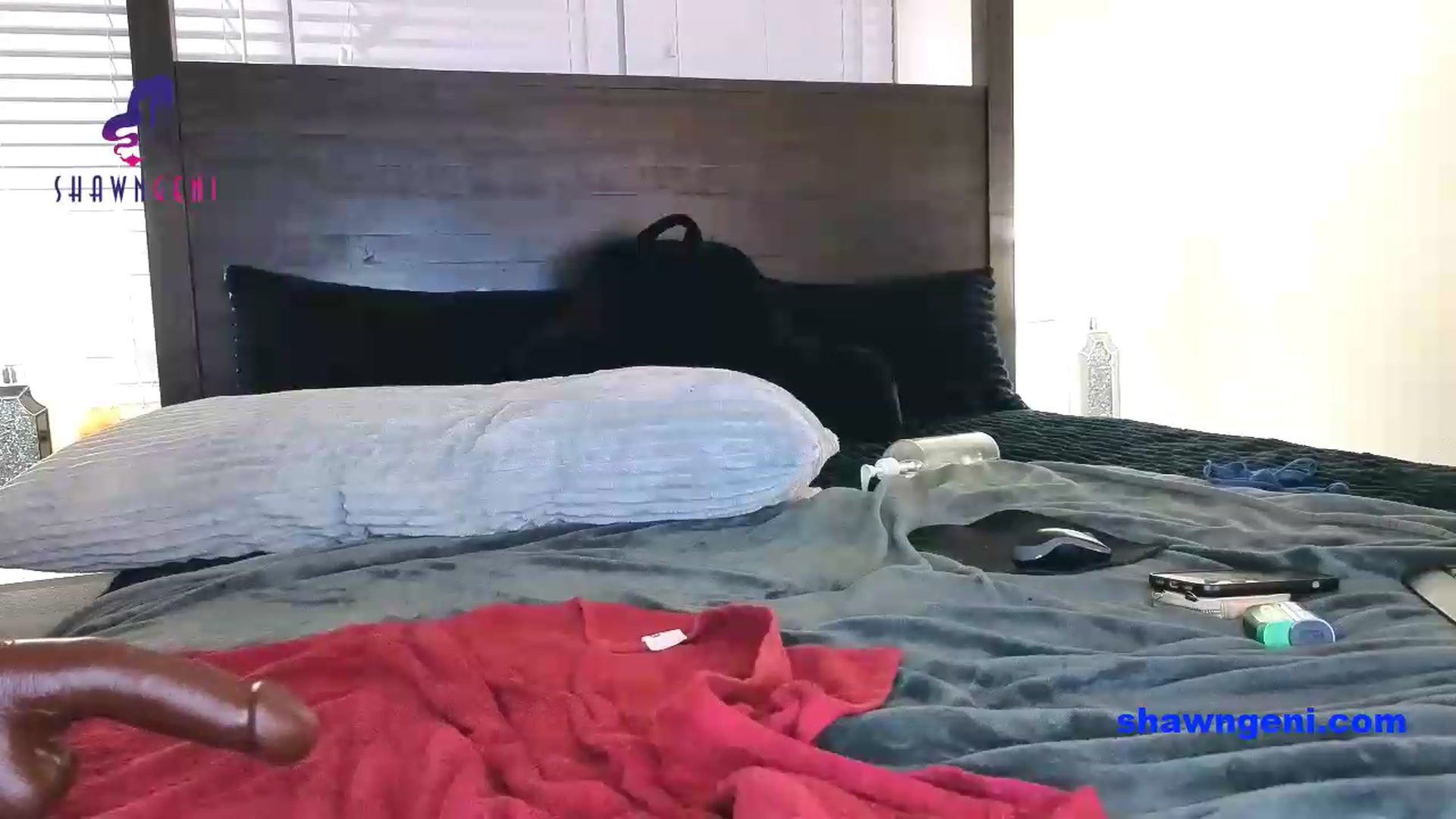 Gallery image thumbnail from GeniBae's myfreecams stream on, 07/29/2026, 03:57 image 12 of 20