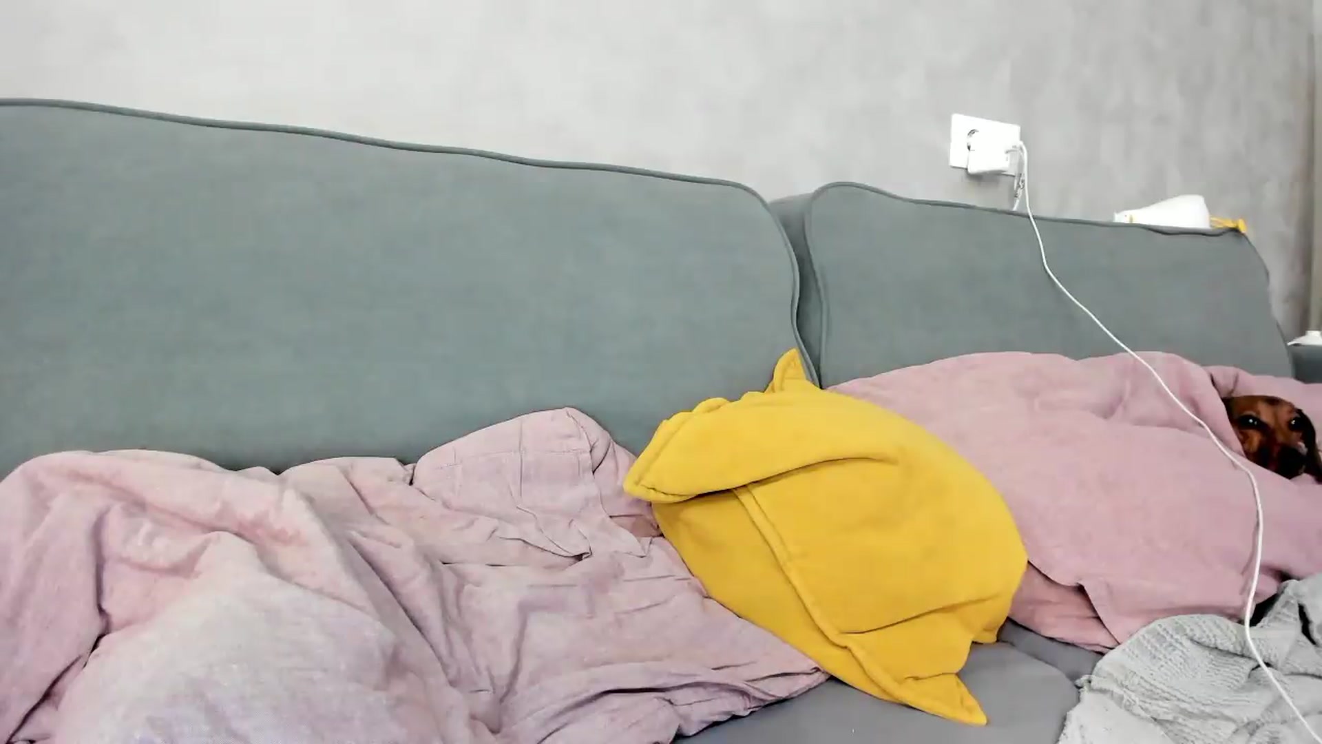 Gallery image thumbnail from GentleGirl's myfreecams stream on, 07/04/2026, 10:14 image 13 of 20