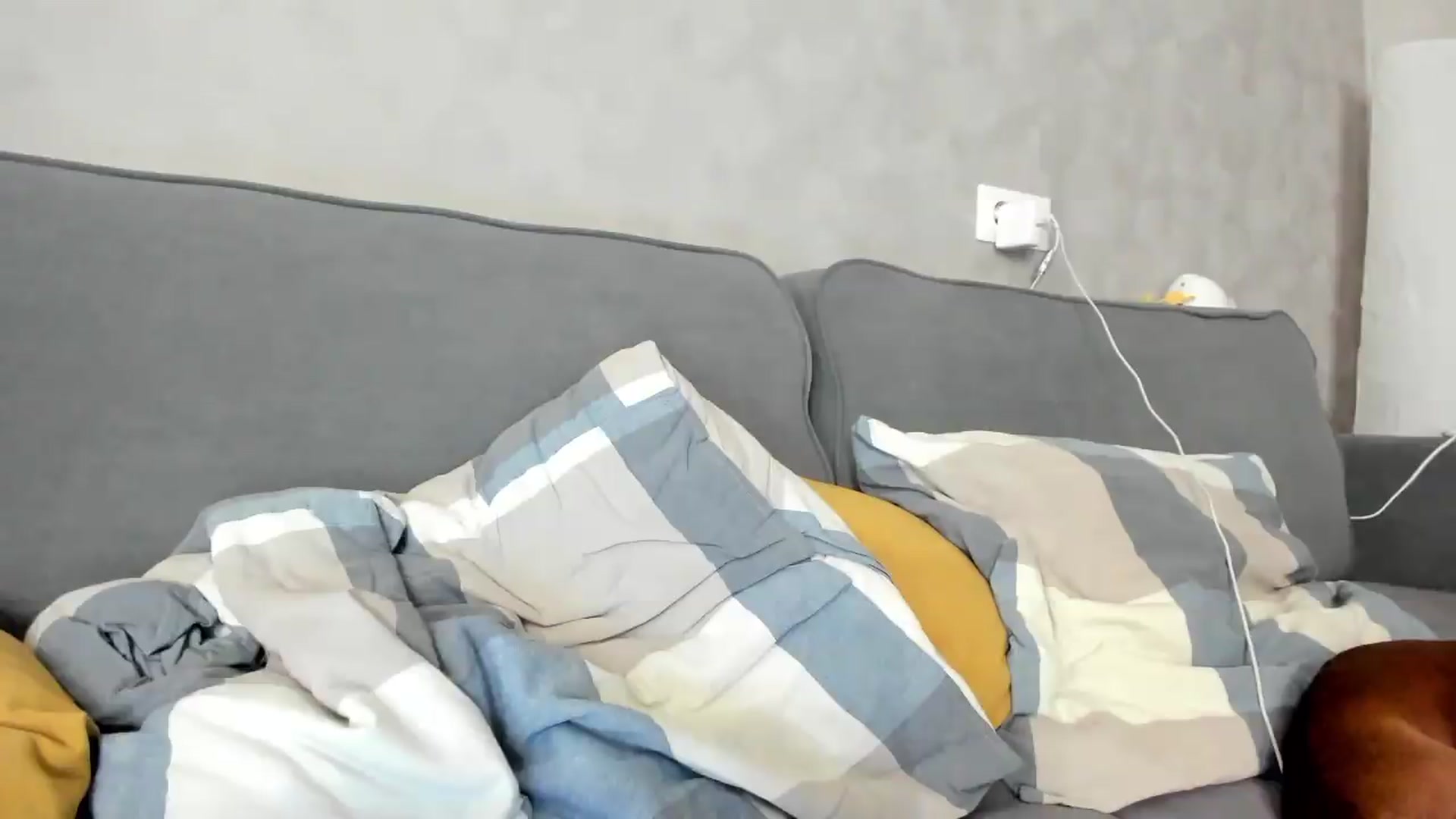 Gallery image thumbnail from GentleGirl's myfreecams stream on, 09/17/2026, 10:14 image 13 of 20