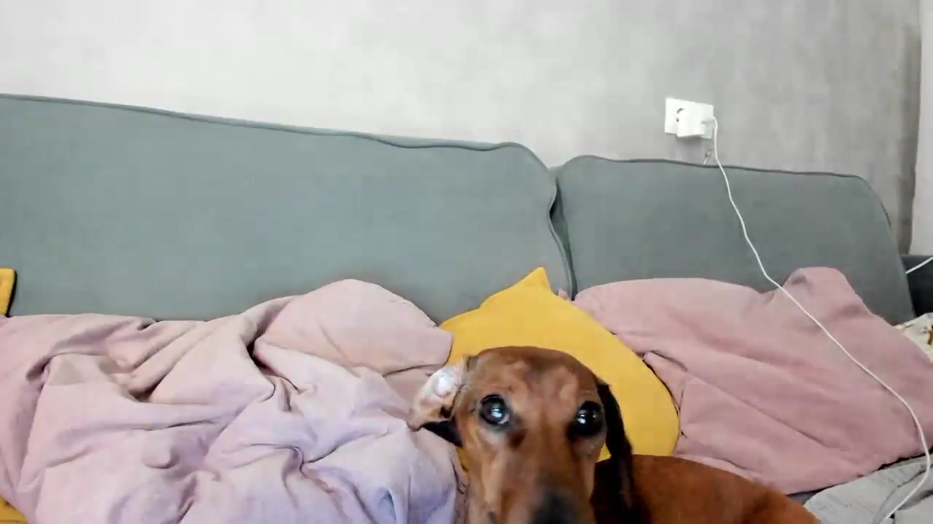 Gallery image thumbnail from GentleGirl's myfreecams stream on, 09/27/2026, 10:55 image 19 of 20