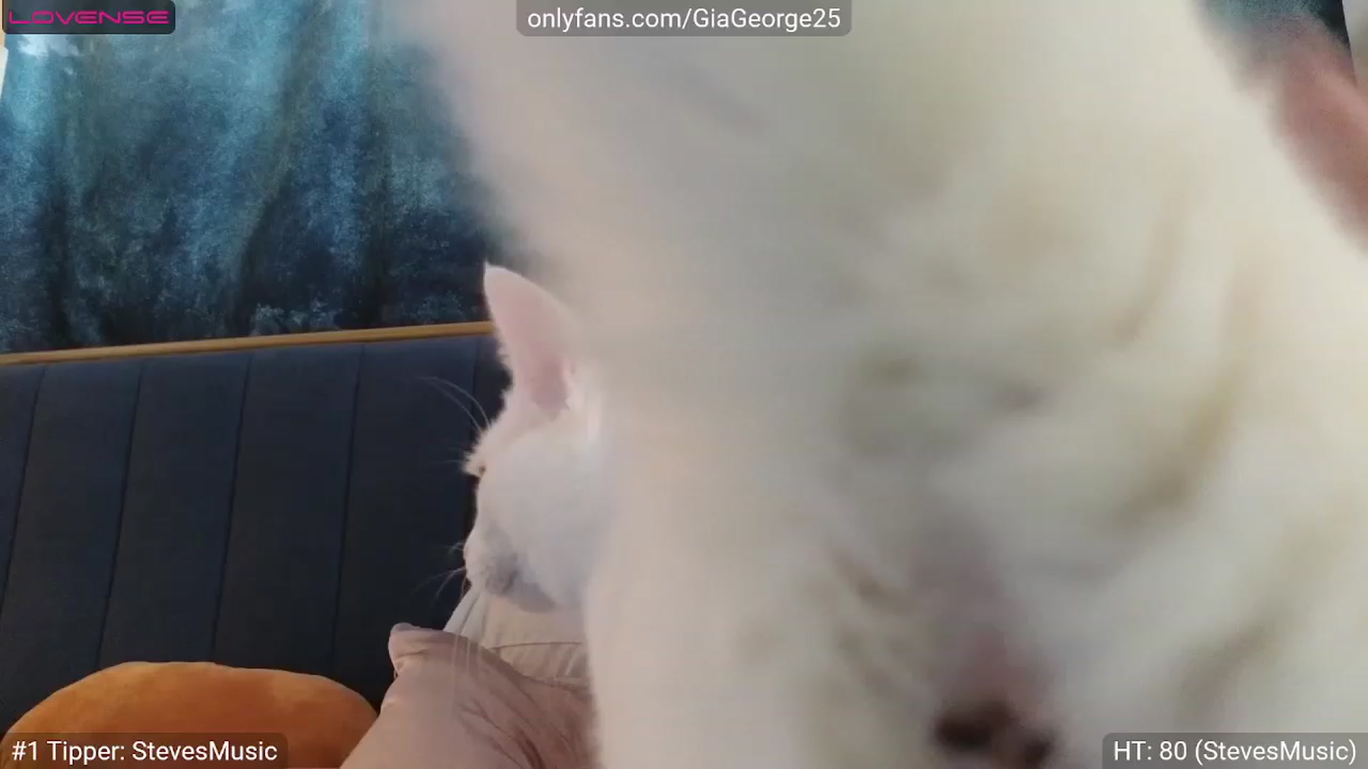 Gallery image thumbnail from GiaGeorge25's myfreecams stream on, 08/12/2023, 24:08 image 13 of 20