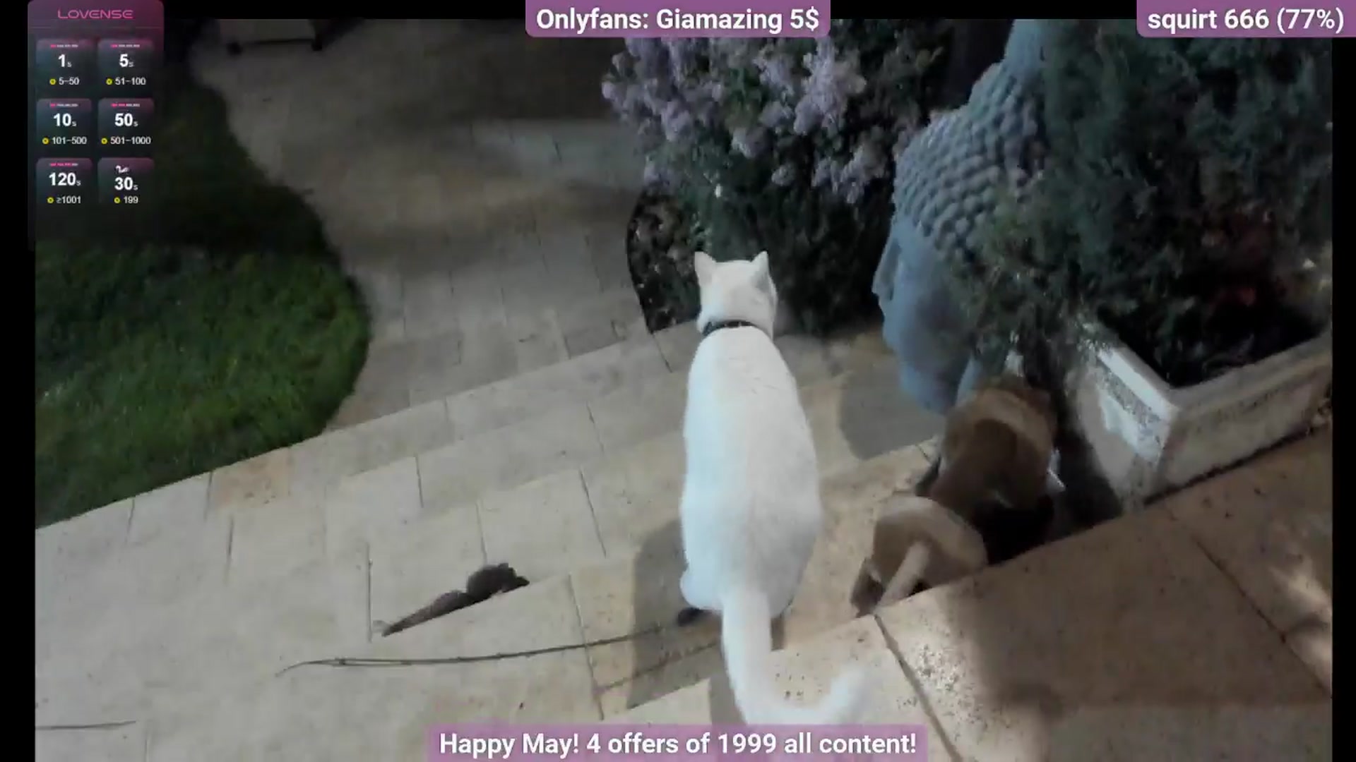 Gallery image thumbnail from GiaMazing's myfreecams stream on, 05/03/2024, 18:26 image 17 of 20