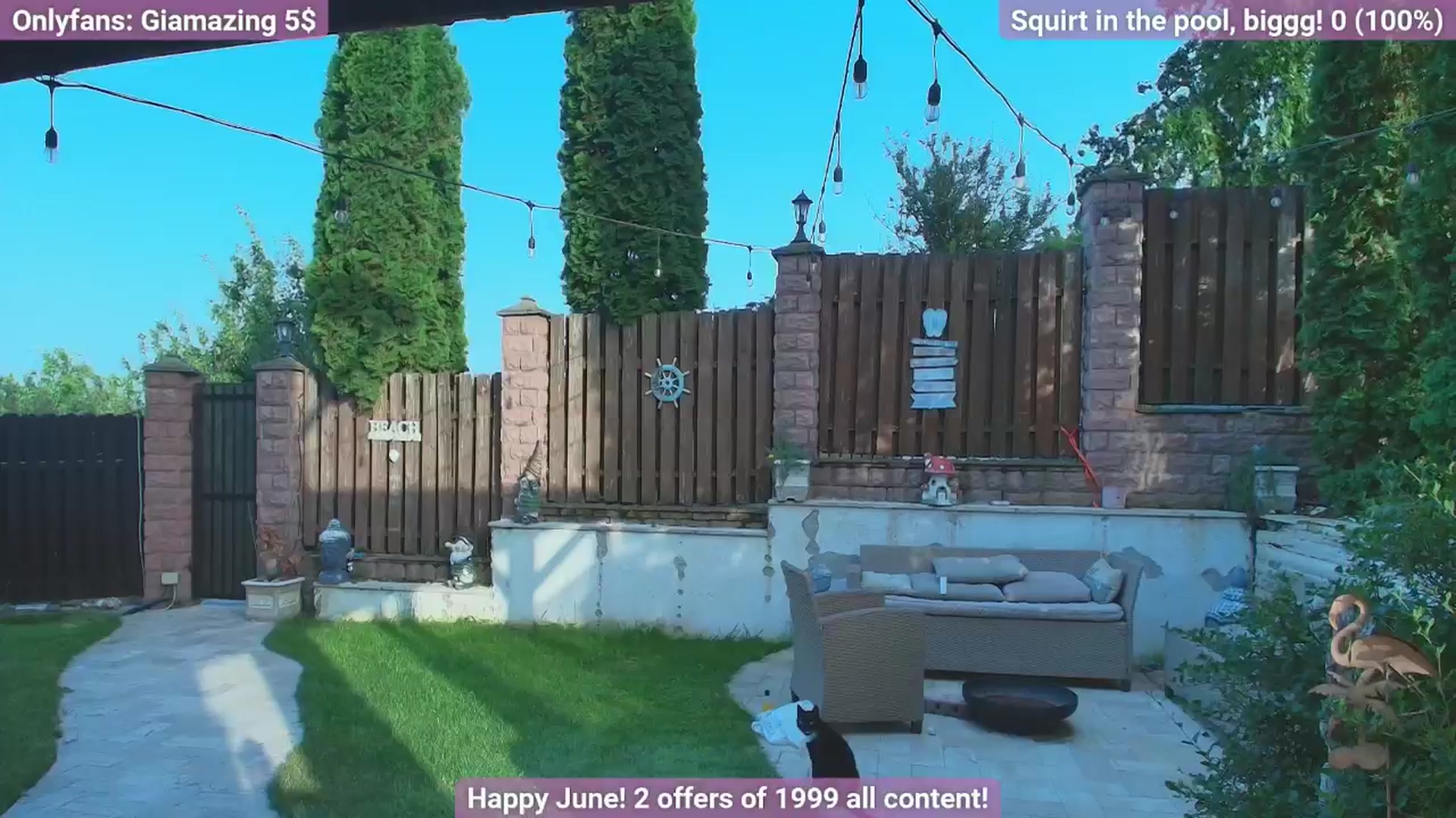 Gallery image thumbnail from GiaMazing's myfreecams stream on, 06/22/2024, 16:54 image 15 of 20