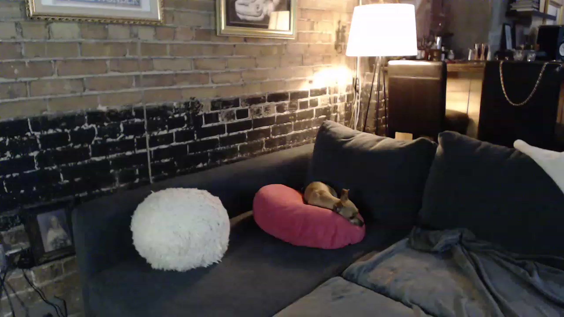 Gallery image thumbnail from GiaPeach's myfreecams stream on, 11/17/2022, 06:34 image 6 of 20