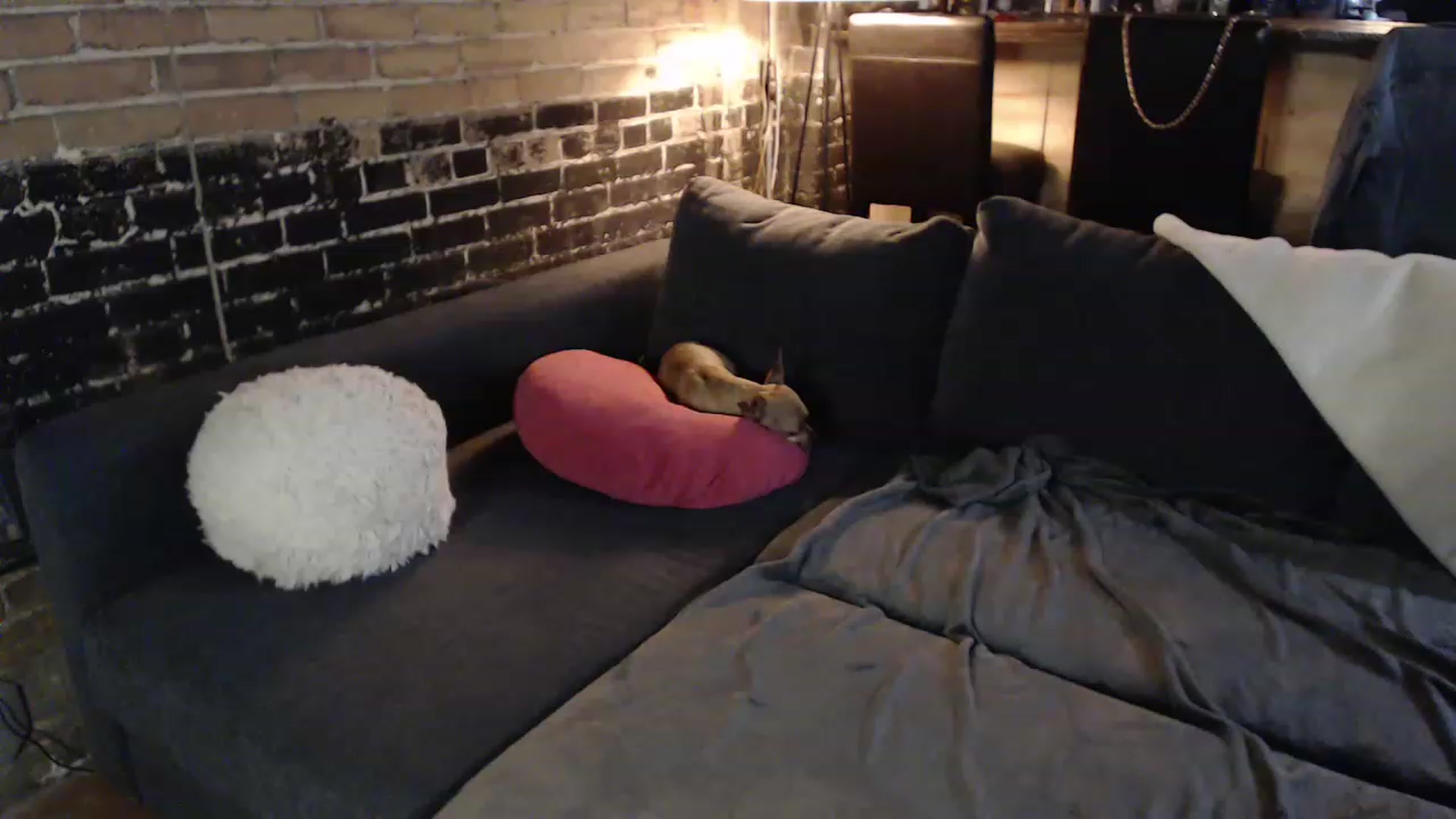 Gallery image thumbnail from GiaPeach's myfreecams stream on, 11/17/2022, 06:34 image 17 of 20