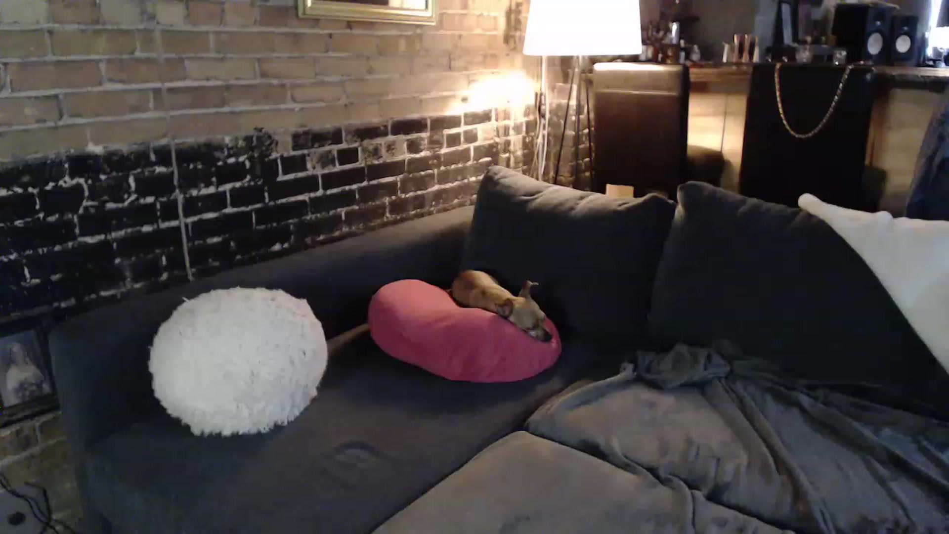 Gallery image thumbnail from GiaPeach's myfreecams stream on, 11/17/2022, 06:34 image 8 of 20