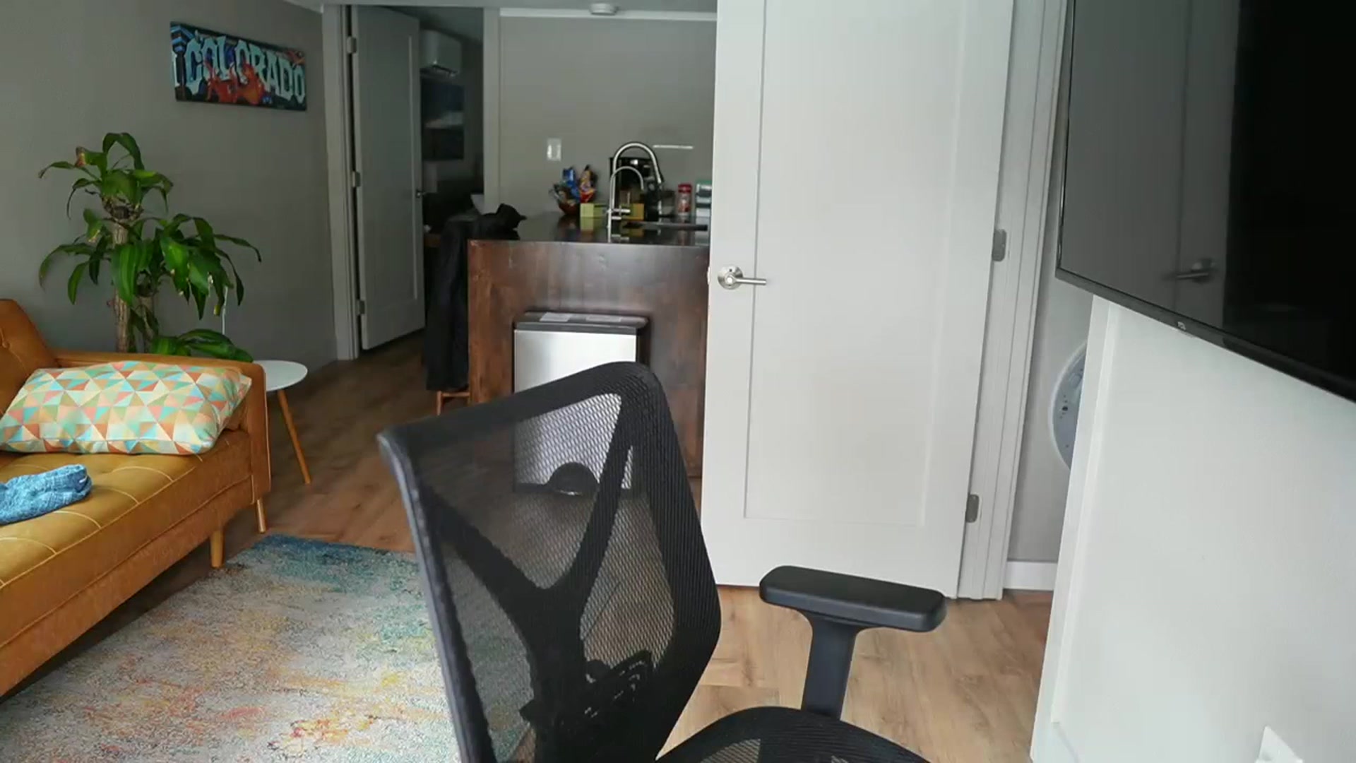 Gallery image thumbnail from Gia_Hill's myfreecams stream on, 01/25/2023, 23:15 image 7 of 20