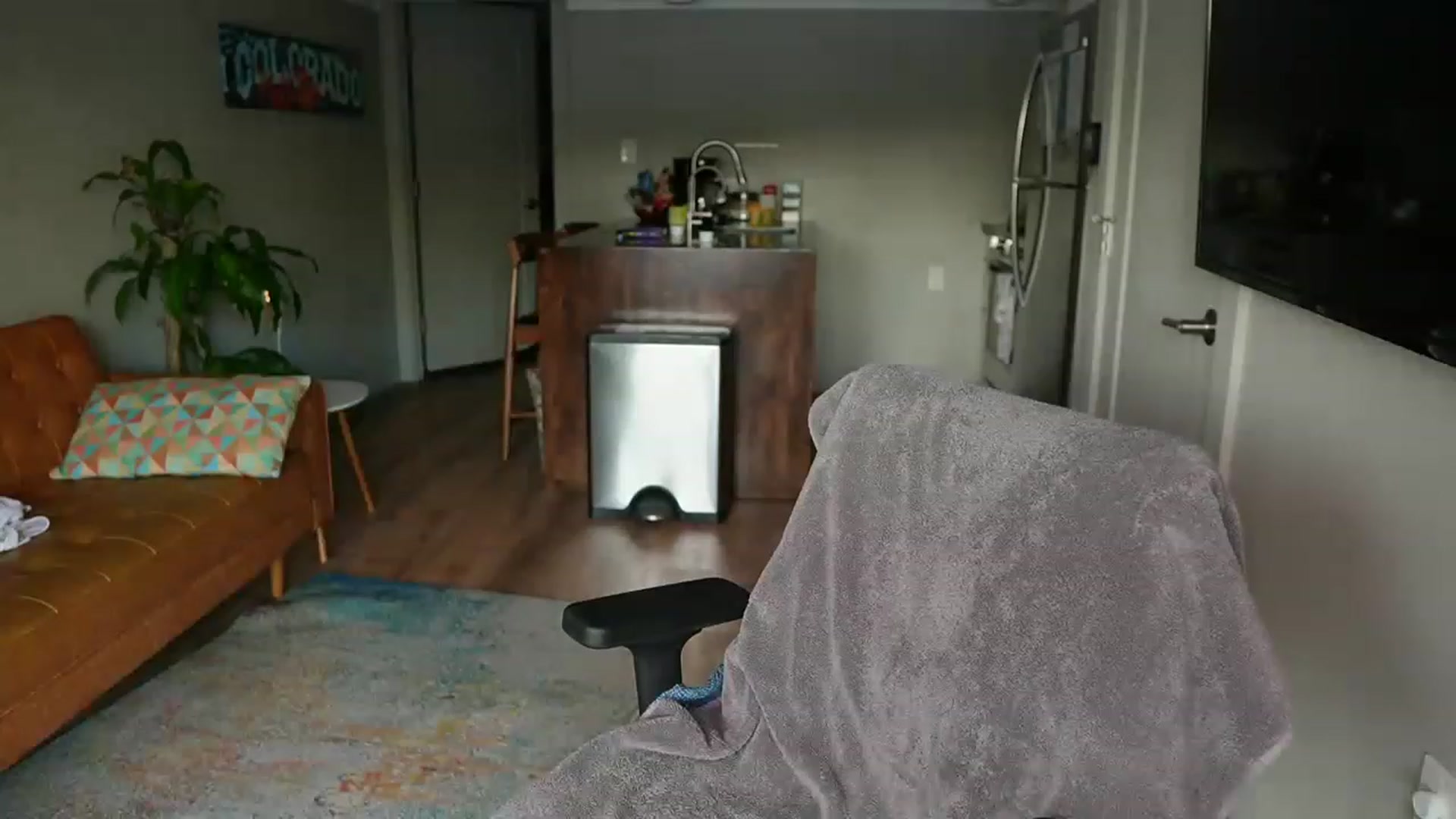 Gallery image thumbnail from Gia_Hill's myfreecams stream on, 01/28/2023, 24:32 image 6 of 20
