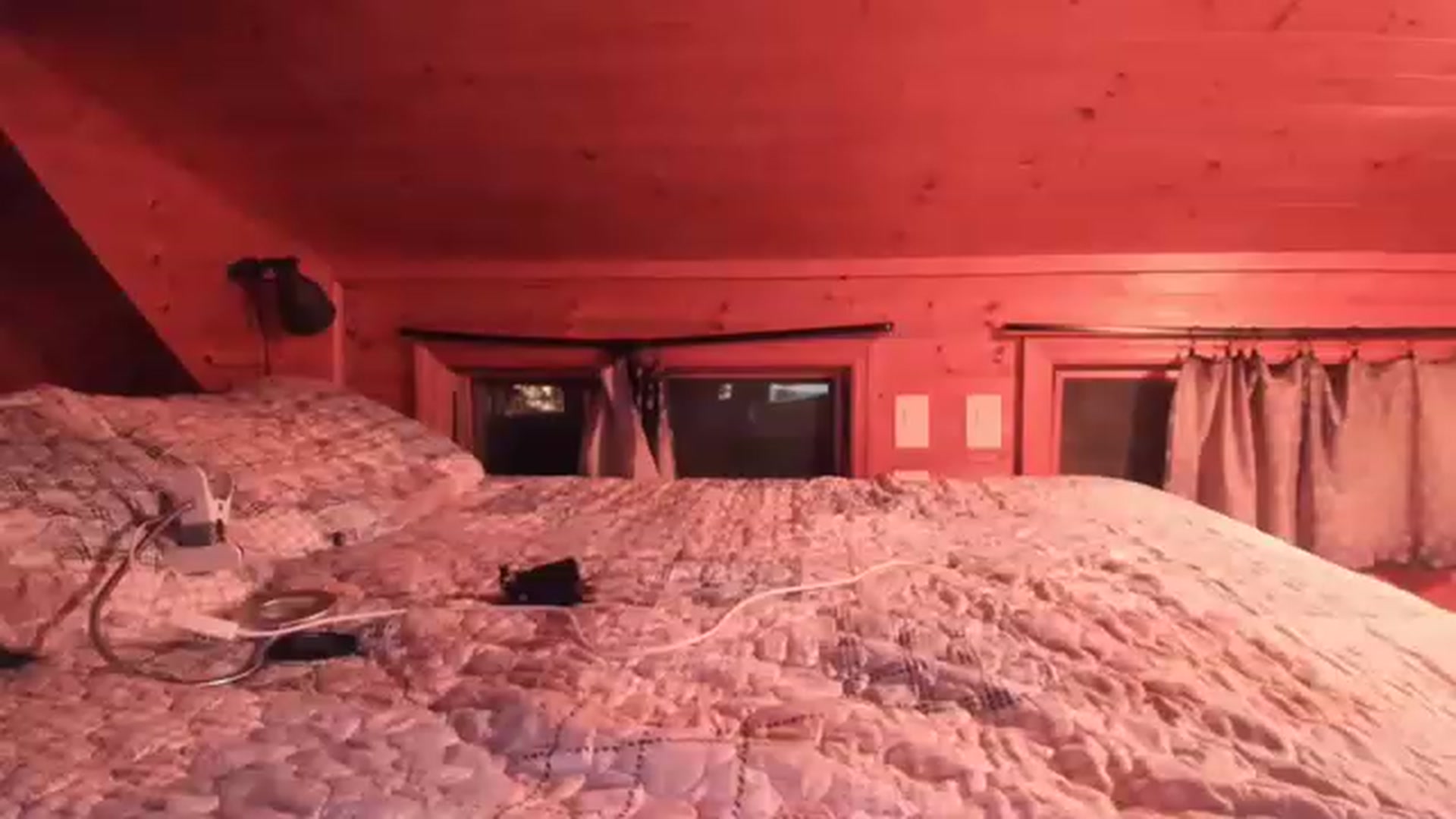 Gallery image thumbnail from Gia_Hill's myfreecams stream on, 02/01/2023, 04:20 image 5 of 20