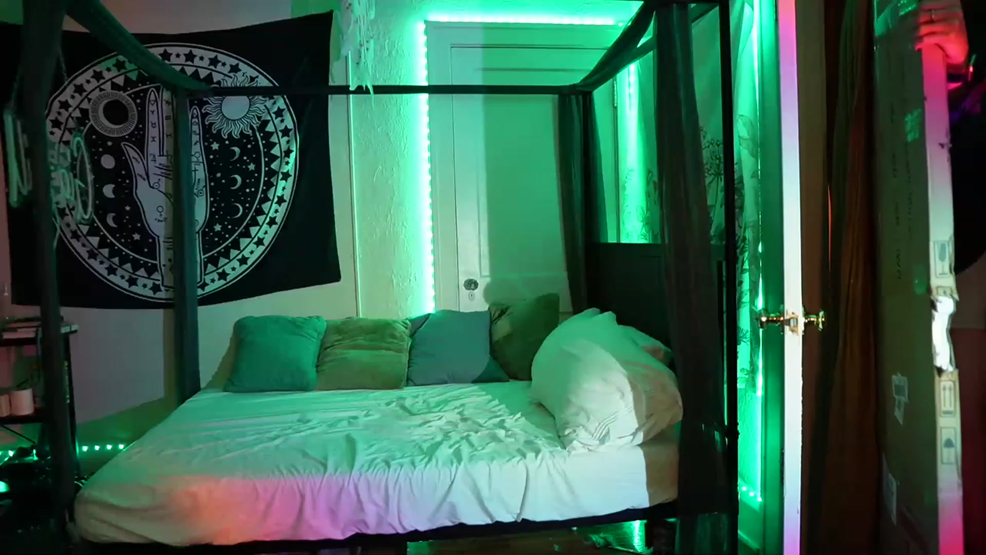 Gallery image thumbnail from Gia_Hill's myfreecams stream on, 03/16/2023, 01:26 image 3 of 20