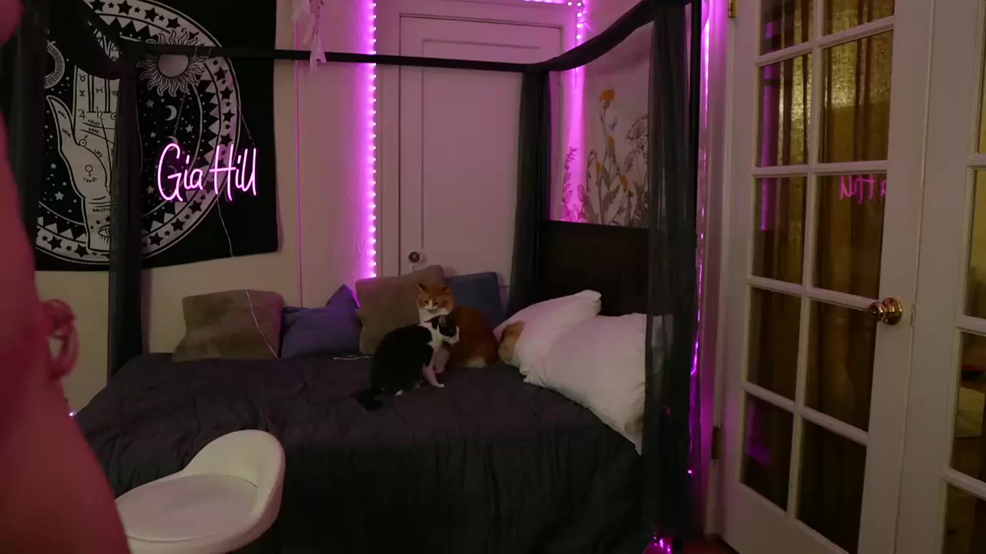 Gallery image thumbnail from Gia_Hill's myfreecams stream on, 04/13/2023, 02:10 image 5 of 20