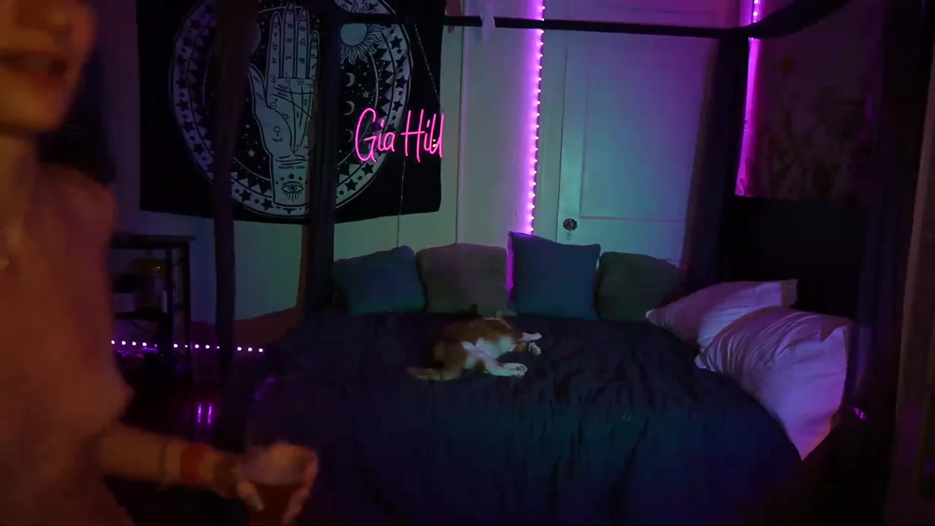 Gallery image thumbnail from Gia_Hill's myfreecams stream on, 04/18/2023, 24:13 image 17 of 20