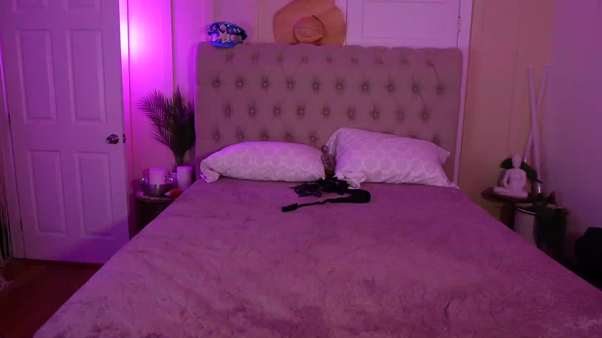 Gallery image thumbnail from Gia_Hill's myfreecams stream on, 05/12/2023, 08:01 image 5 of 20