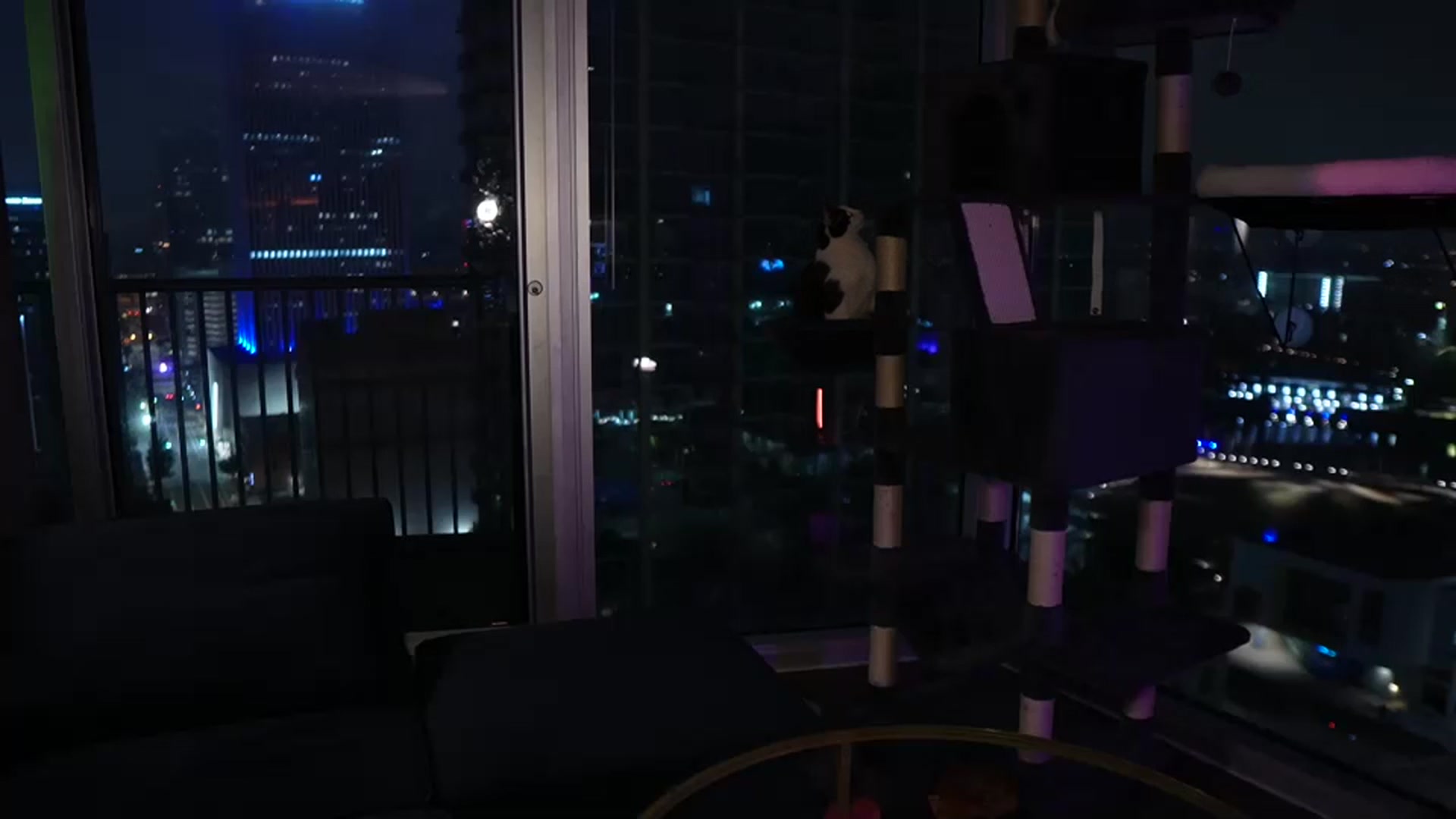 Gallery image thumbnail from Gia_Hill's myfreecams stream on, 03/01/2024, 09:18 image 11 of 20