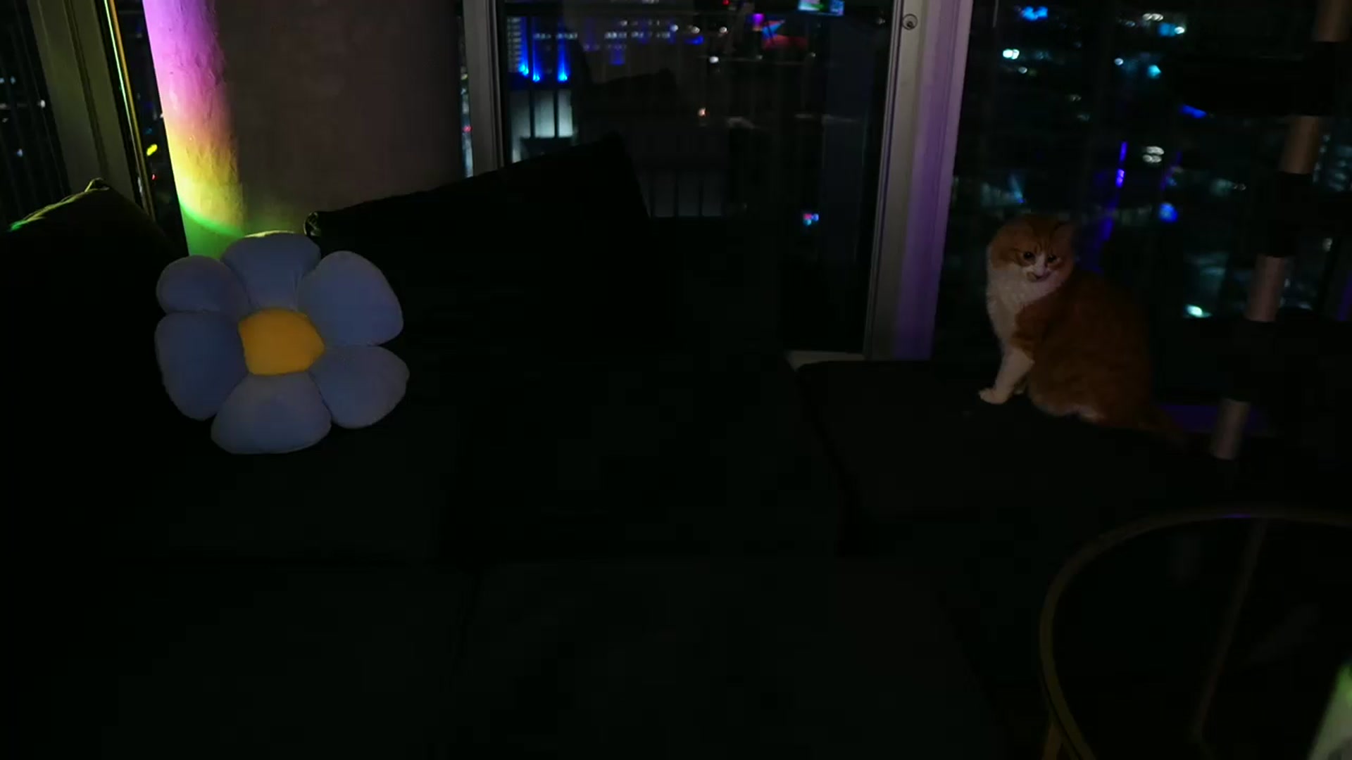 Gallery image thumbnail from Gia_Hill's myfreecams stream on, 03/02/2024, 05:28 image 13 of 20